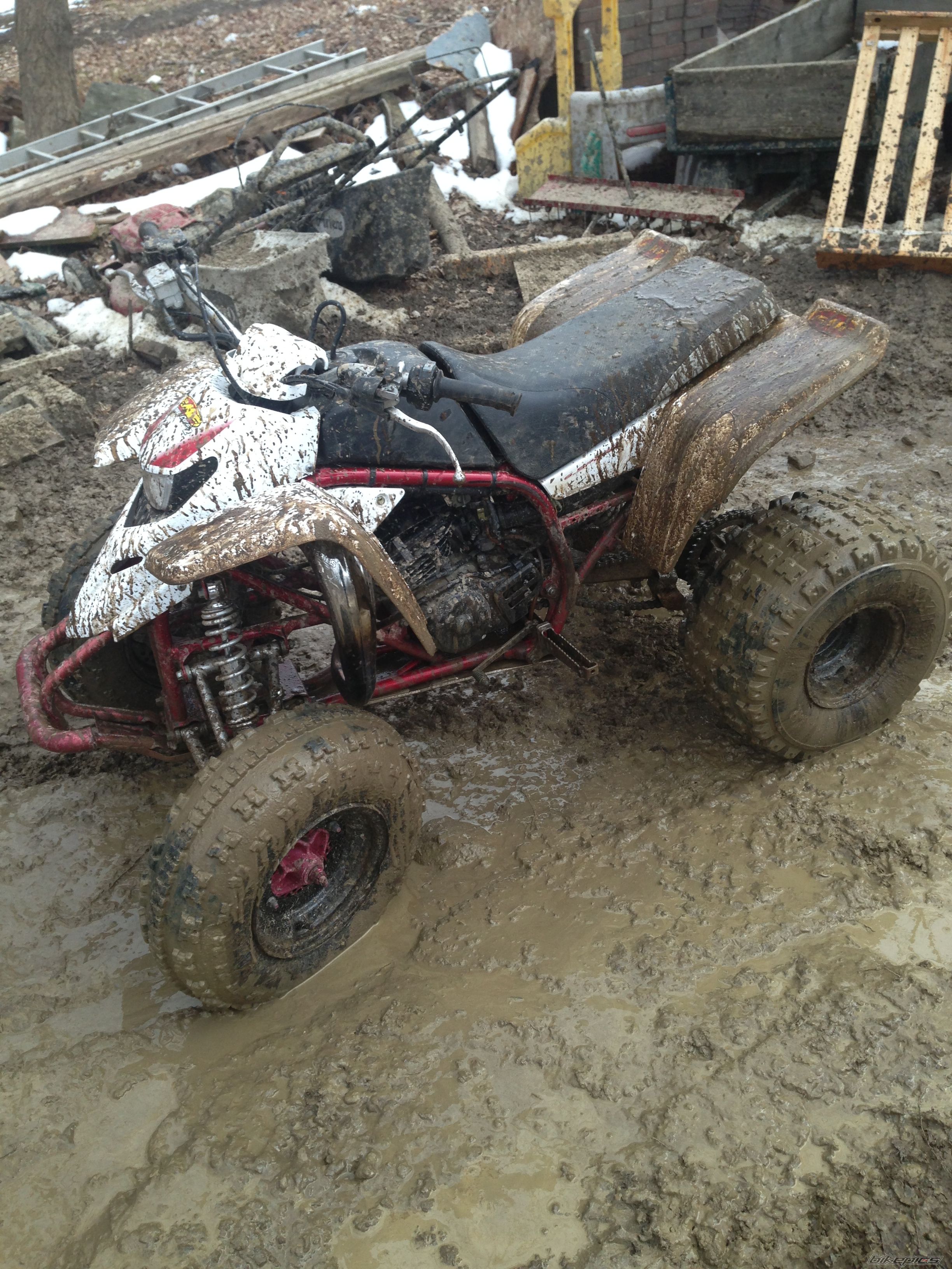 Photo 2545121