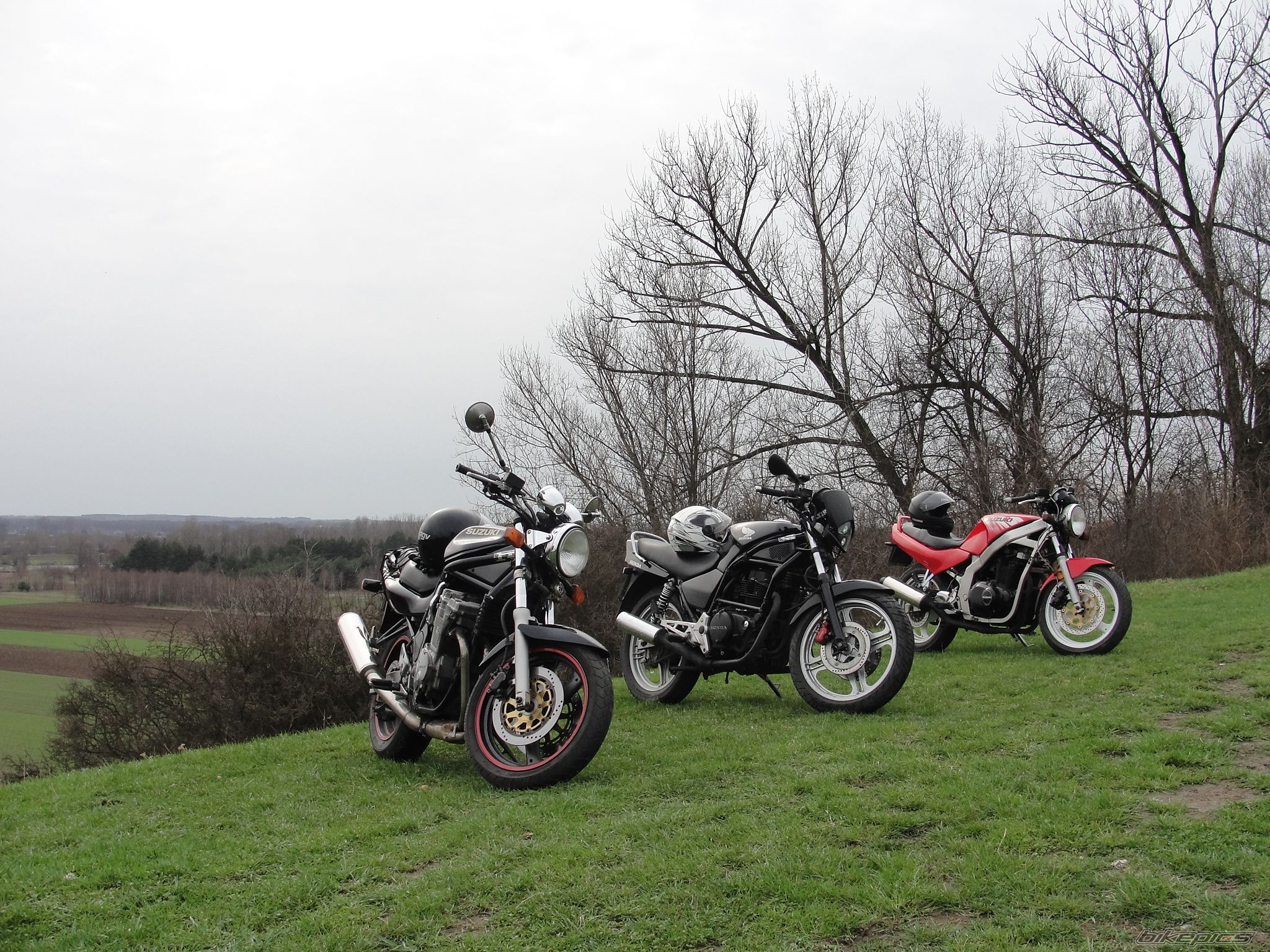 Photo 2545858
