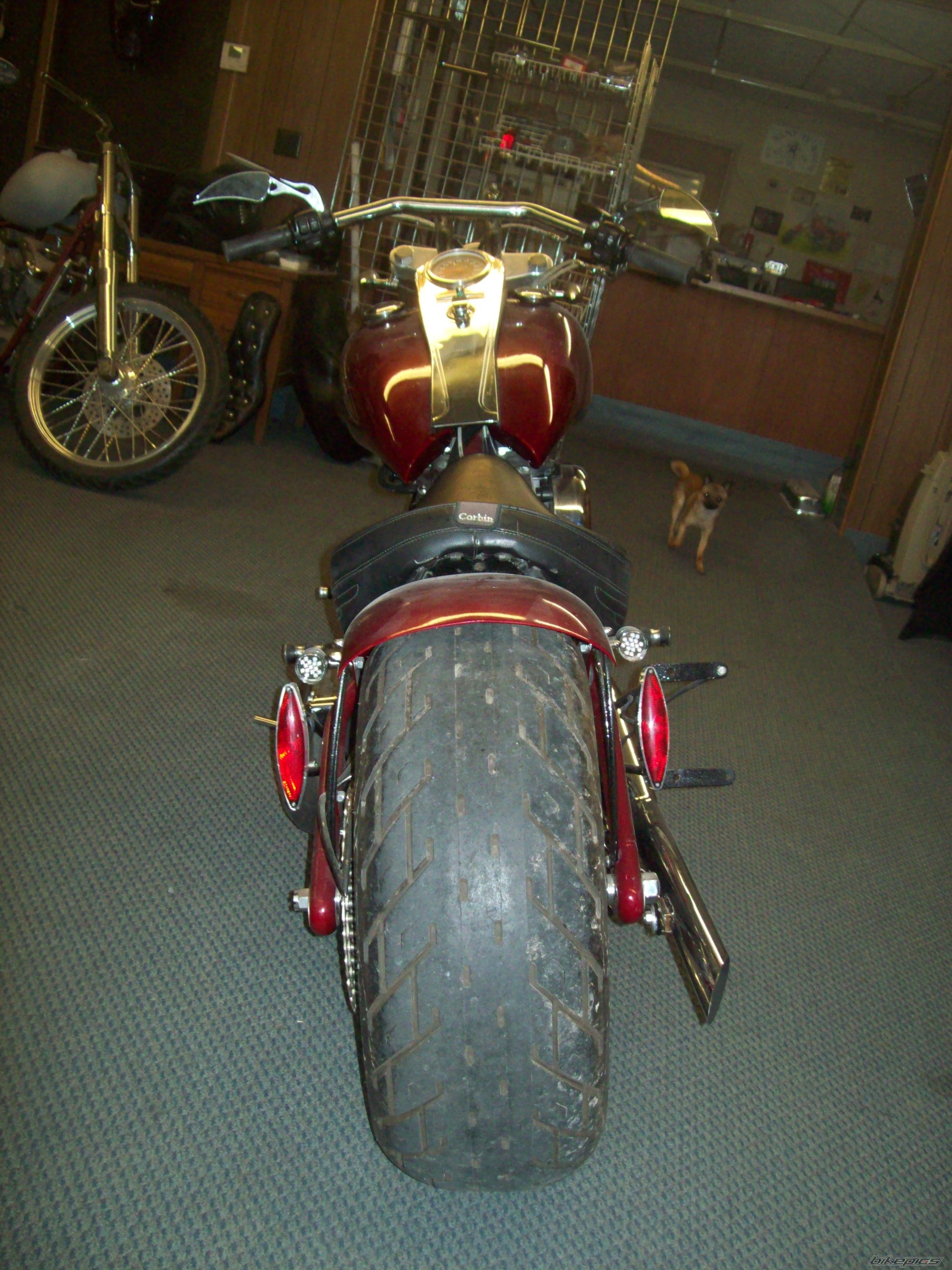 Photo 2546099
