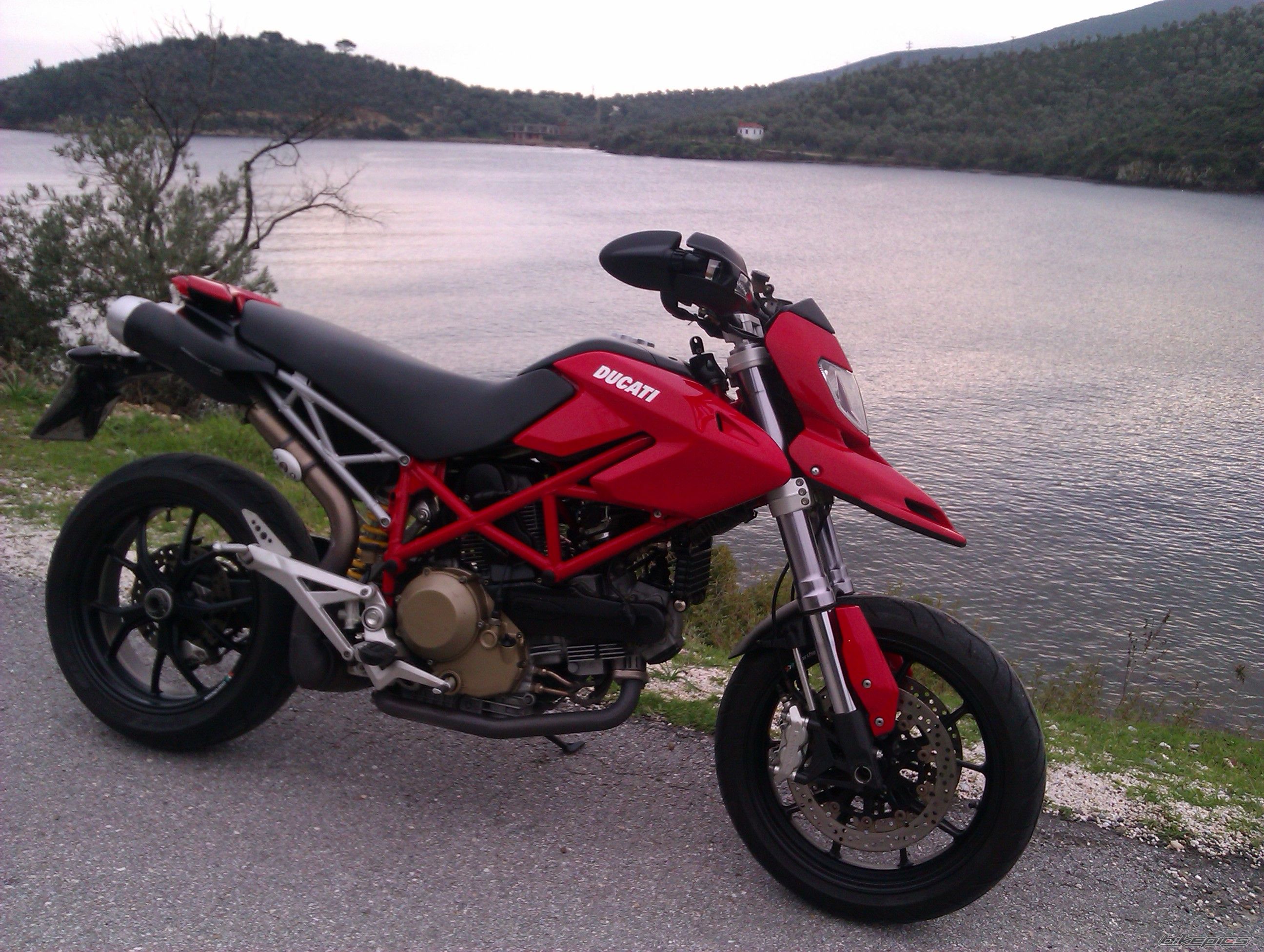 Photo 2546892