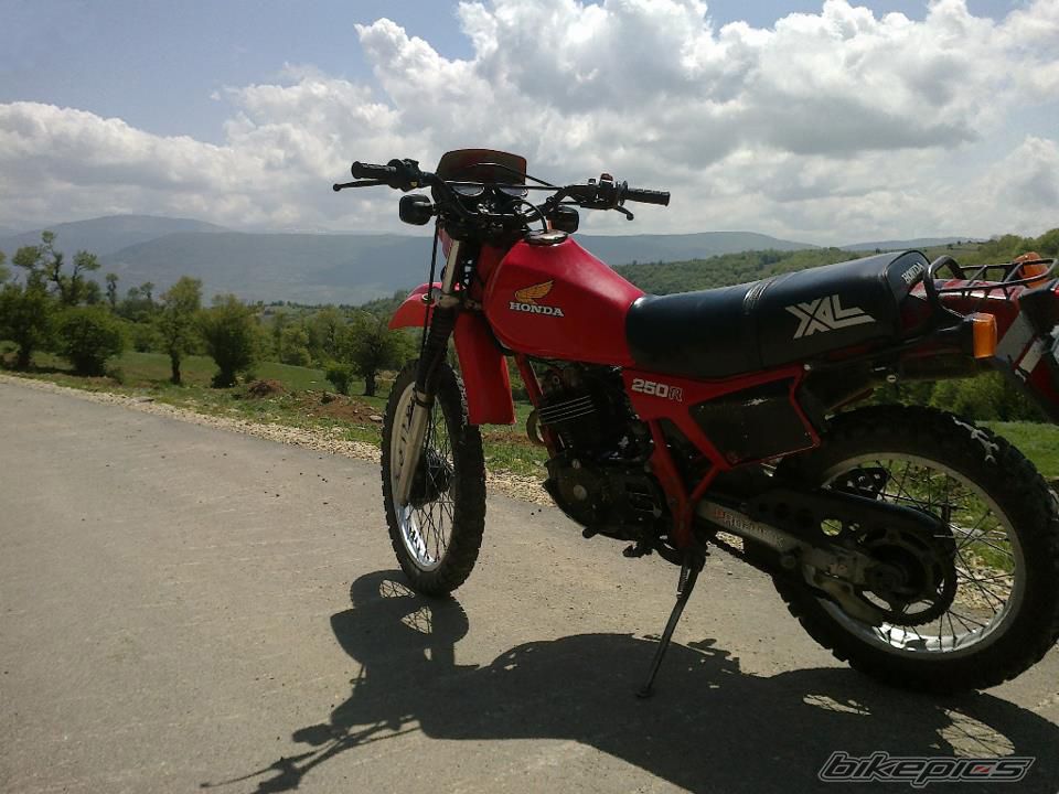 Photo 2546982