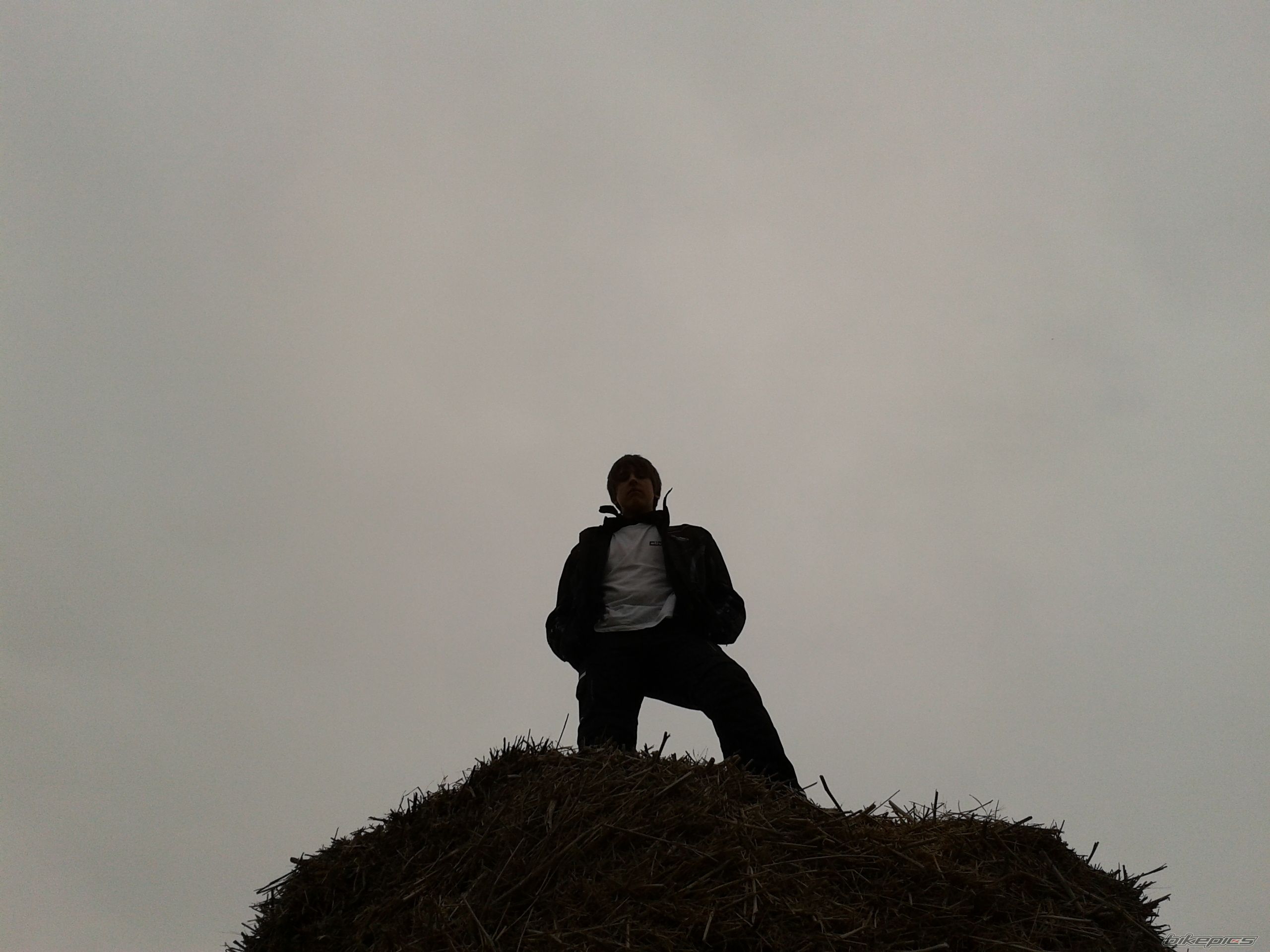 Photo 2547861