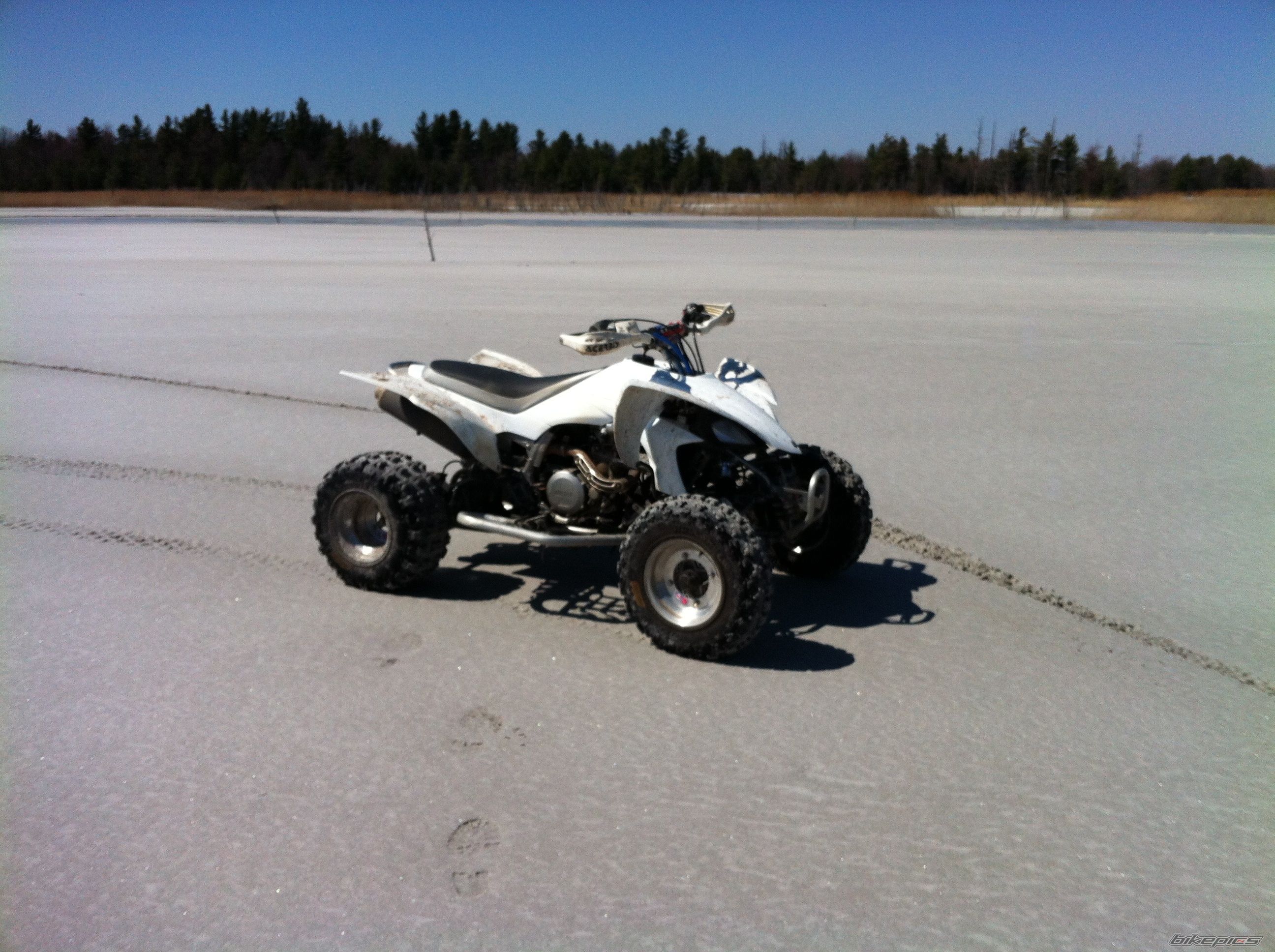 Photo 2548272