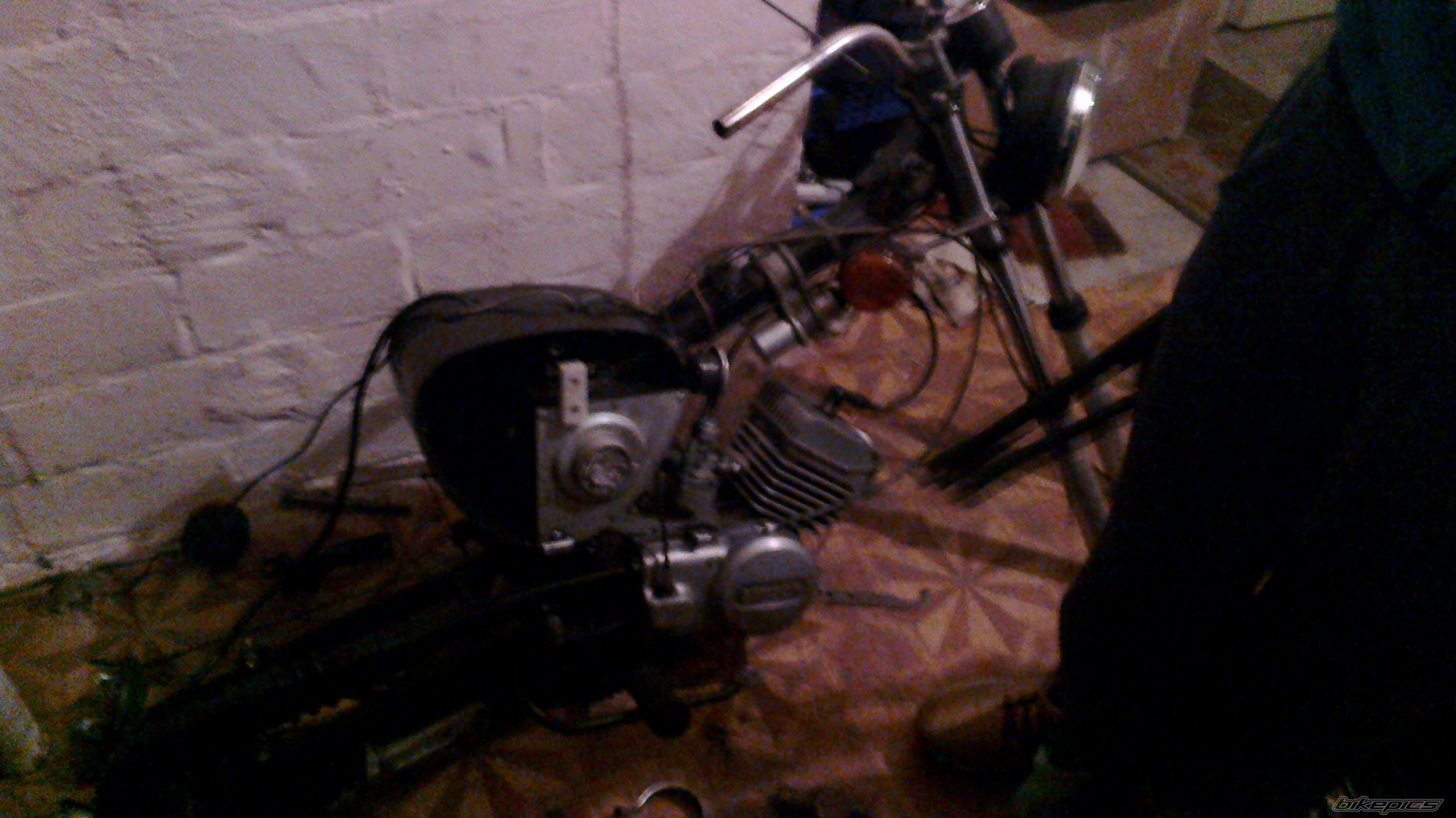 Photo 2548487