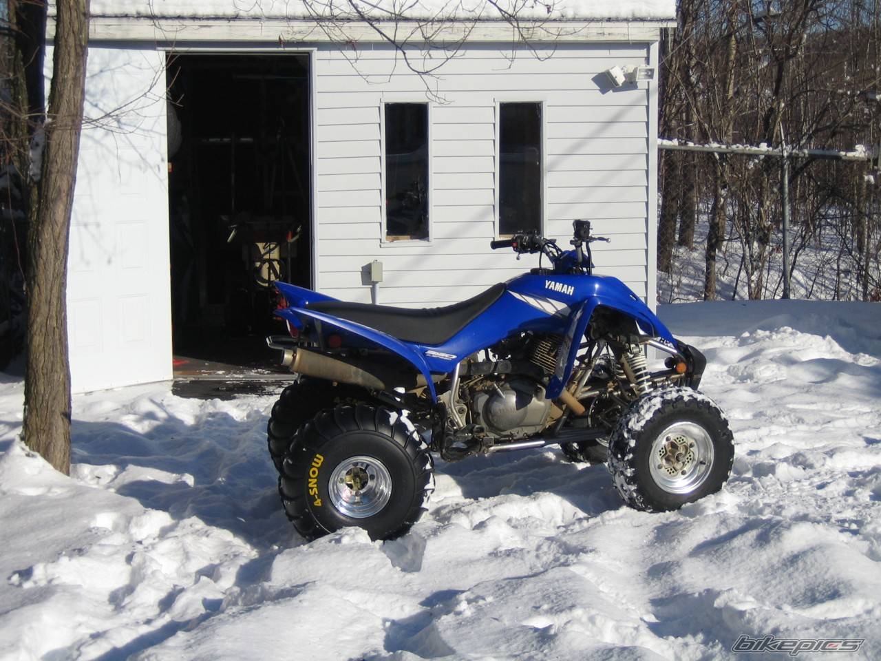 Photo 254849