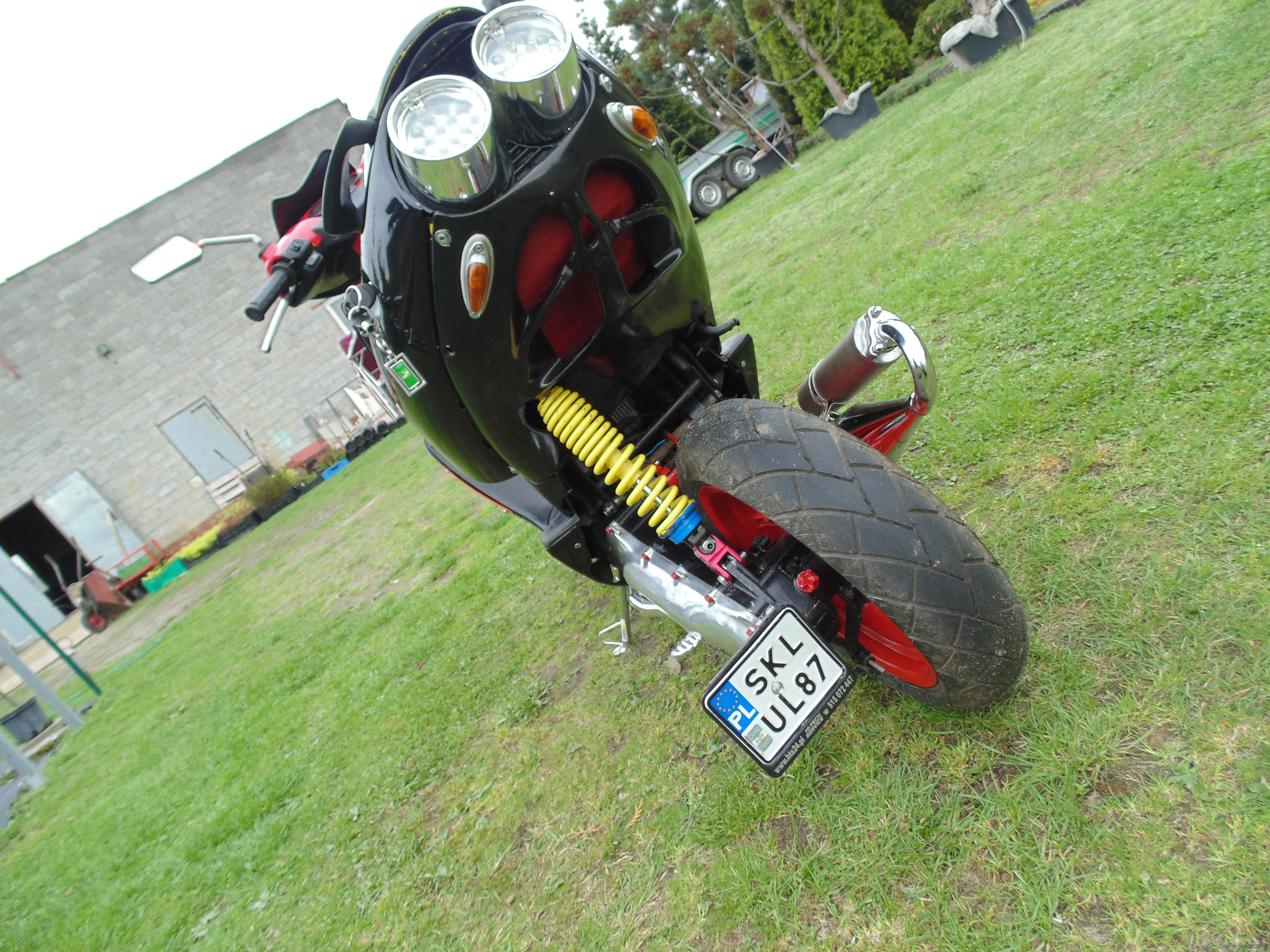 Photo 2550329