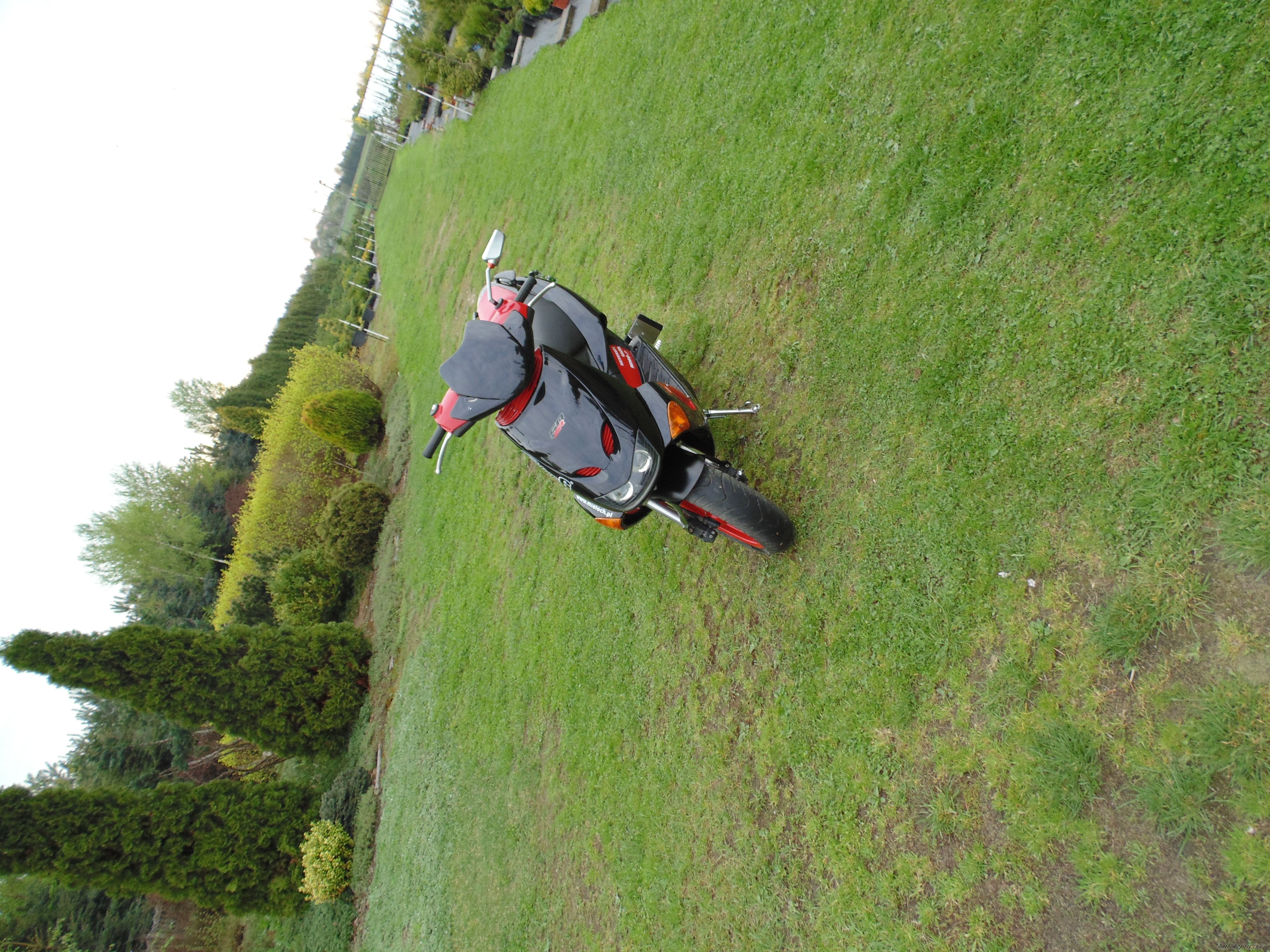 Photo 2550335