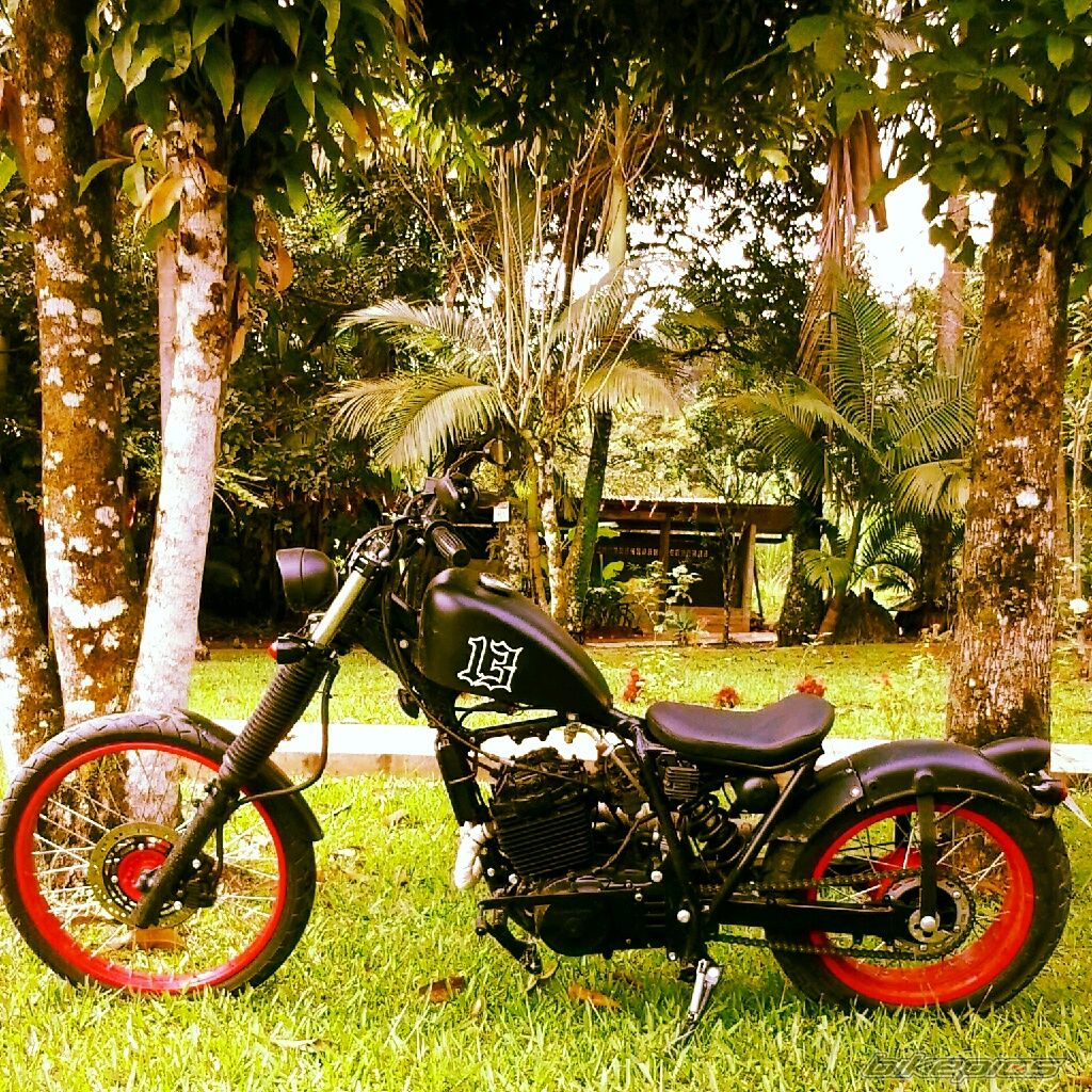 Photo 2552521