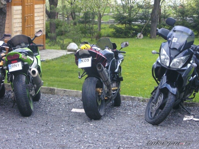 Photo 2553166