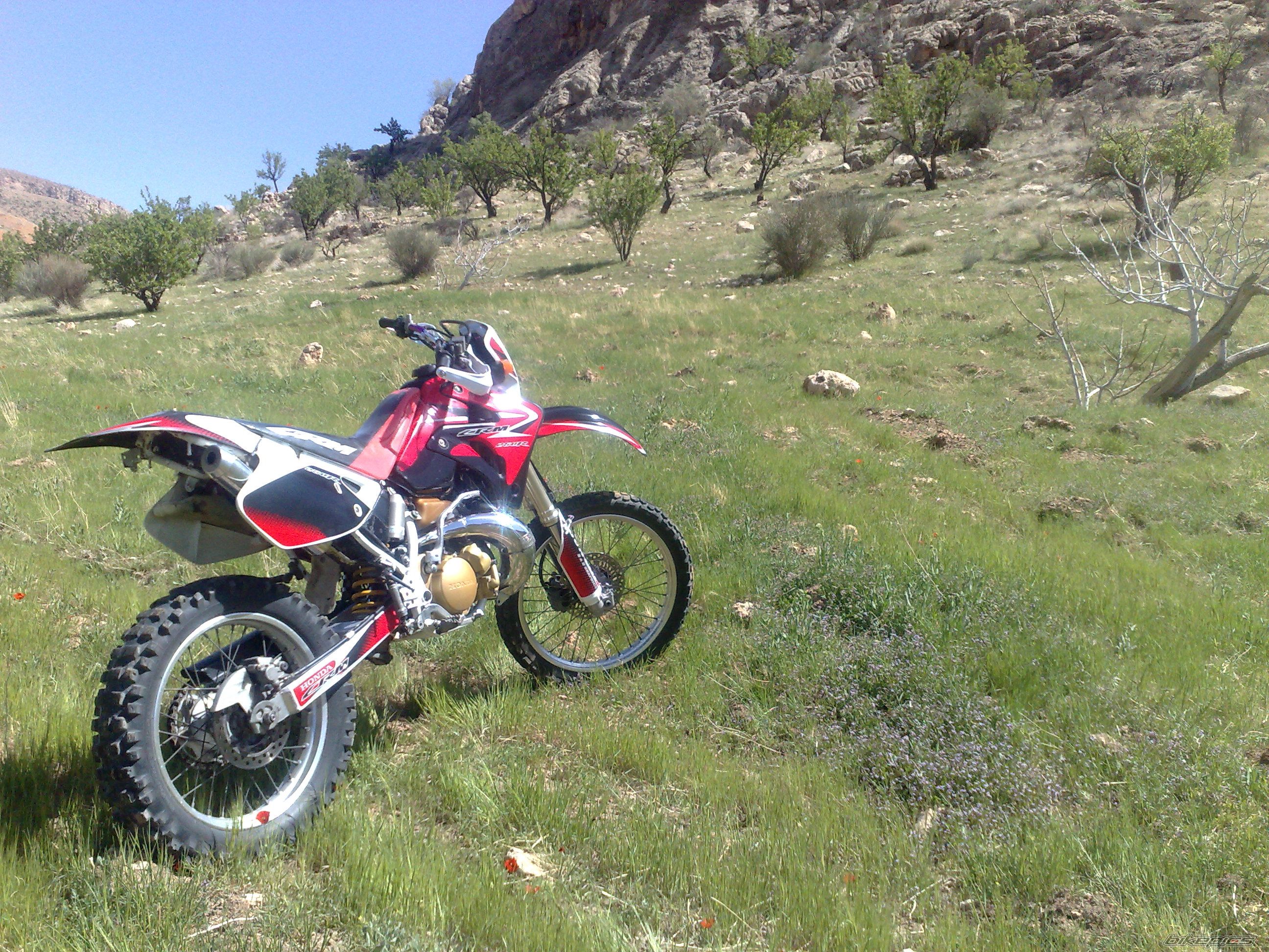 Photo 2553961