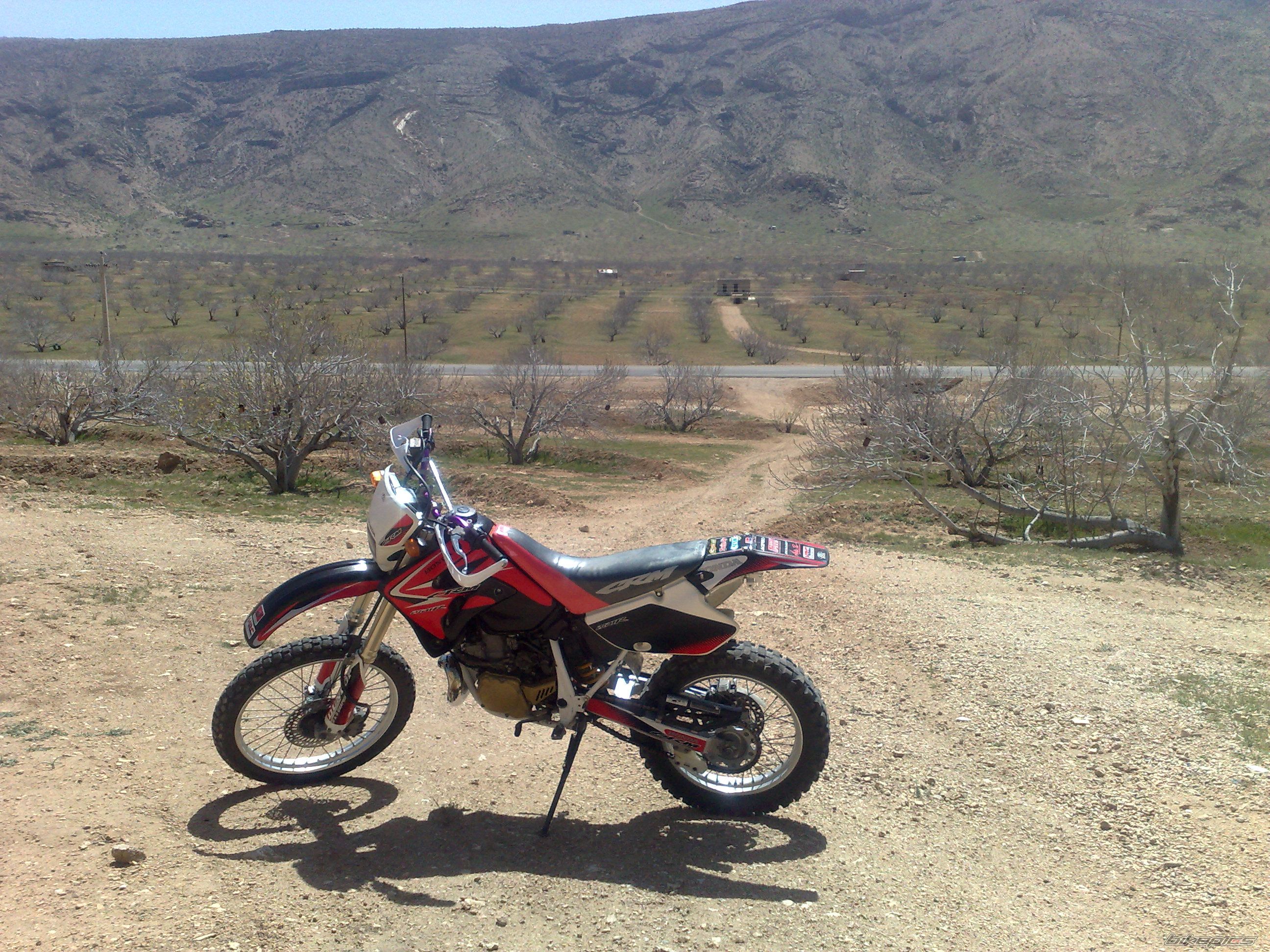 Photo 2553964