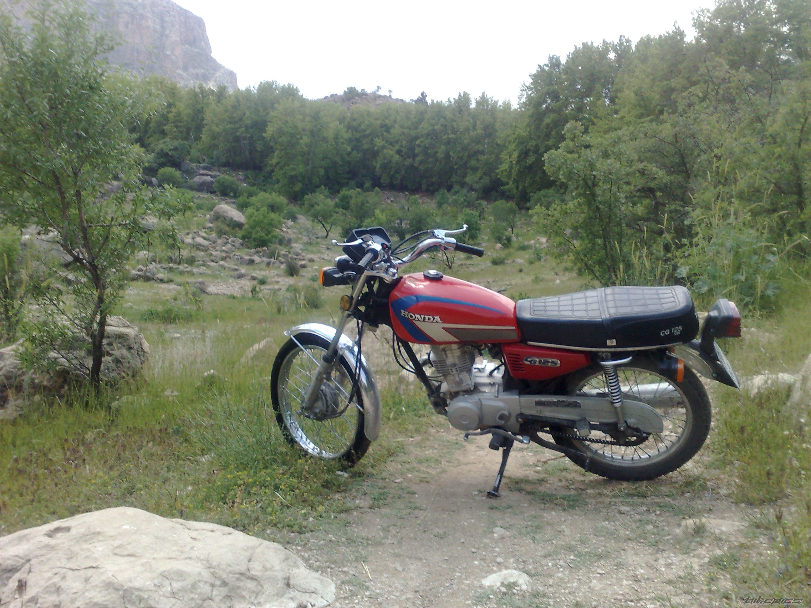 Photo 2553967