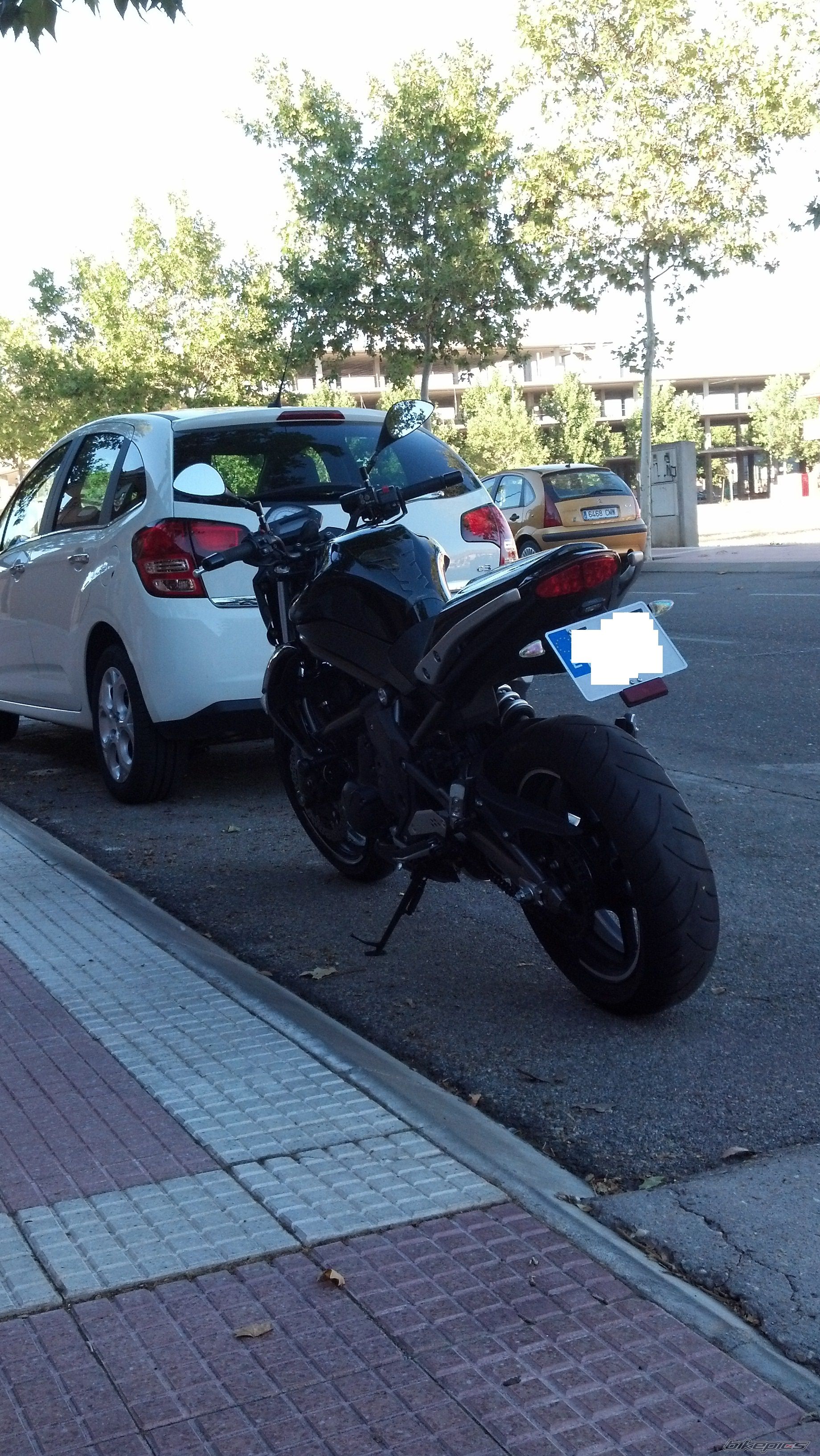 Photo 2555180