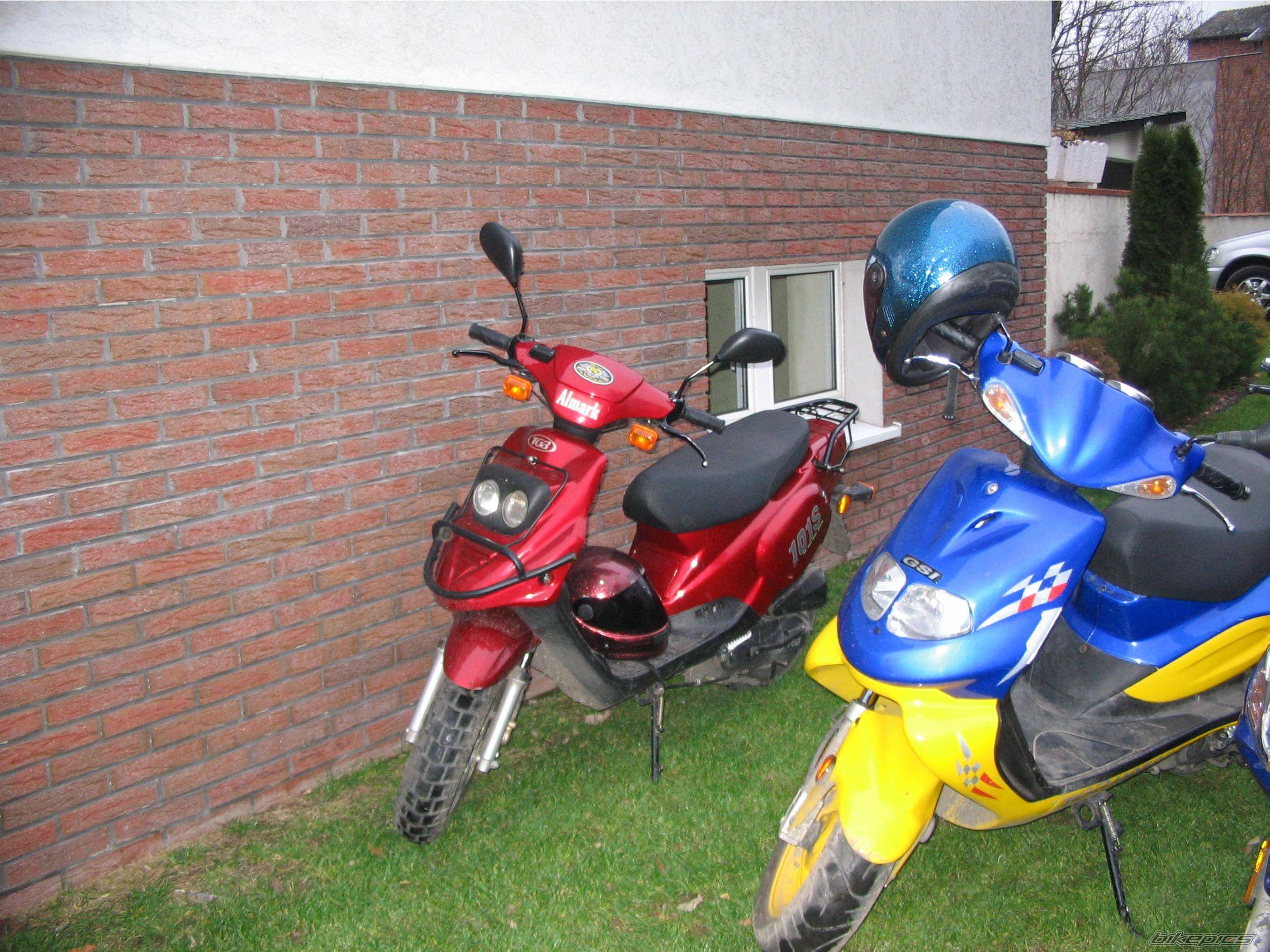 Photo 255704