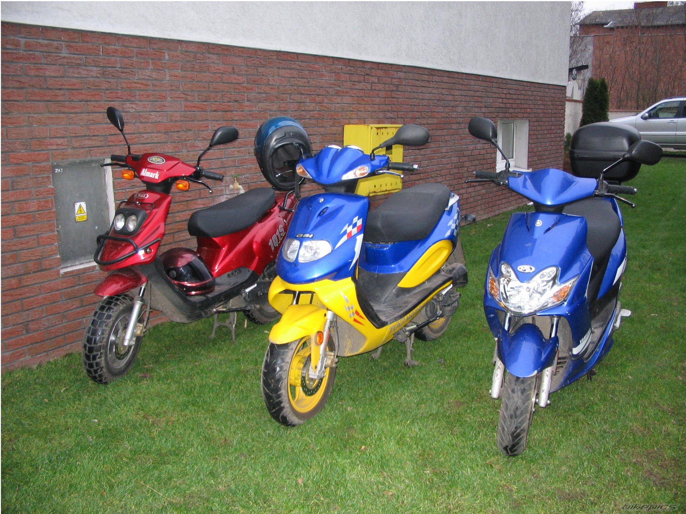 Photo 255713