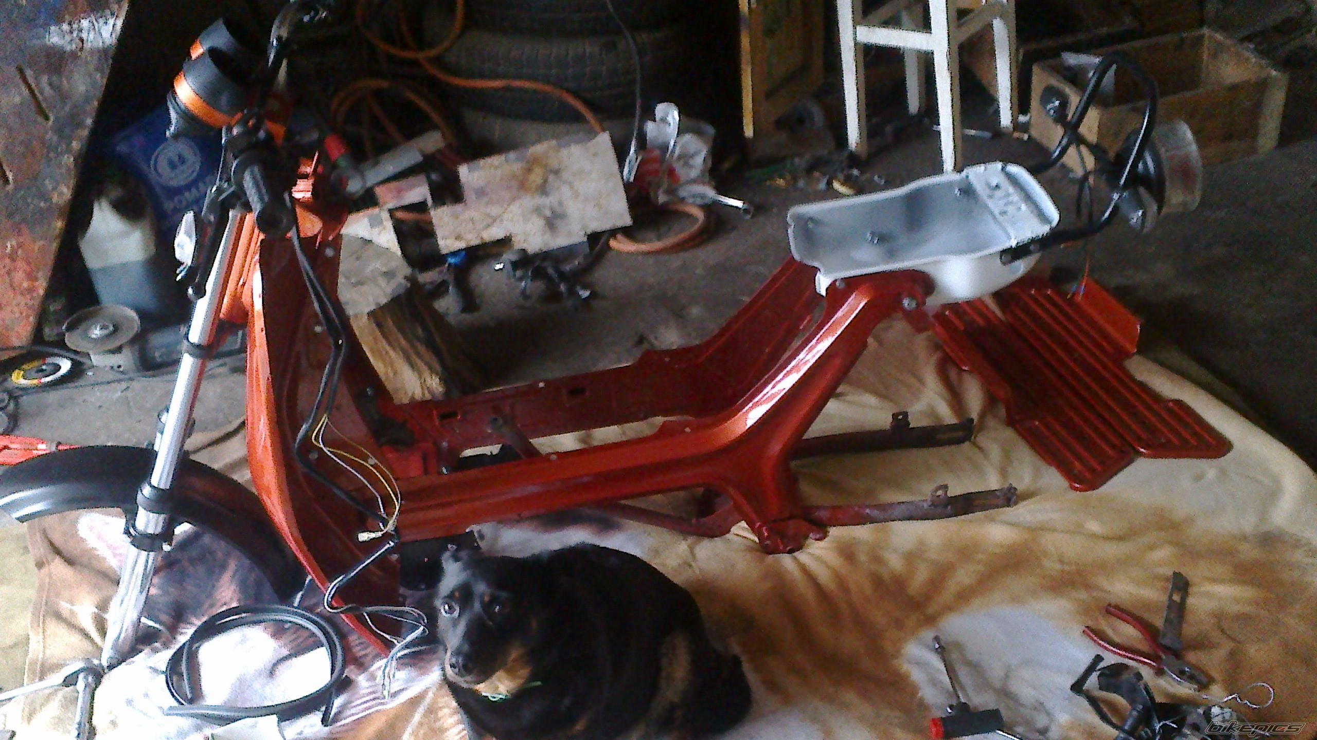 Photo 2562187