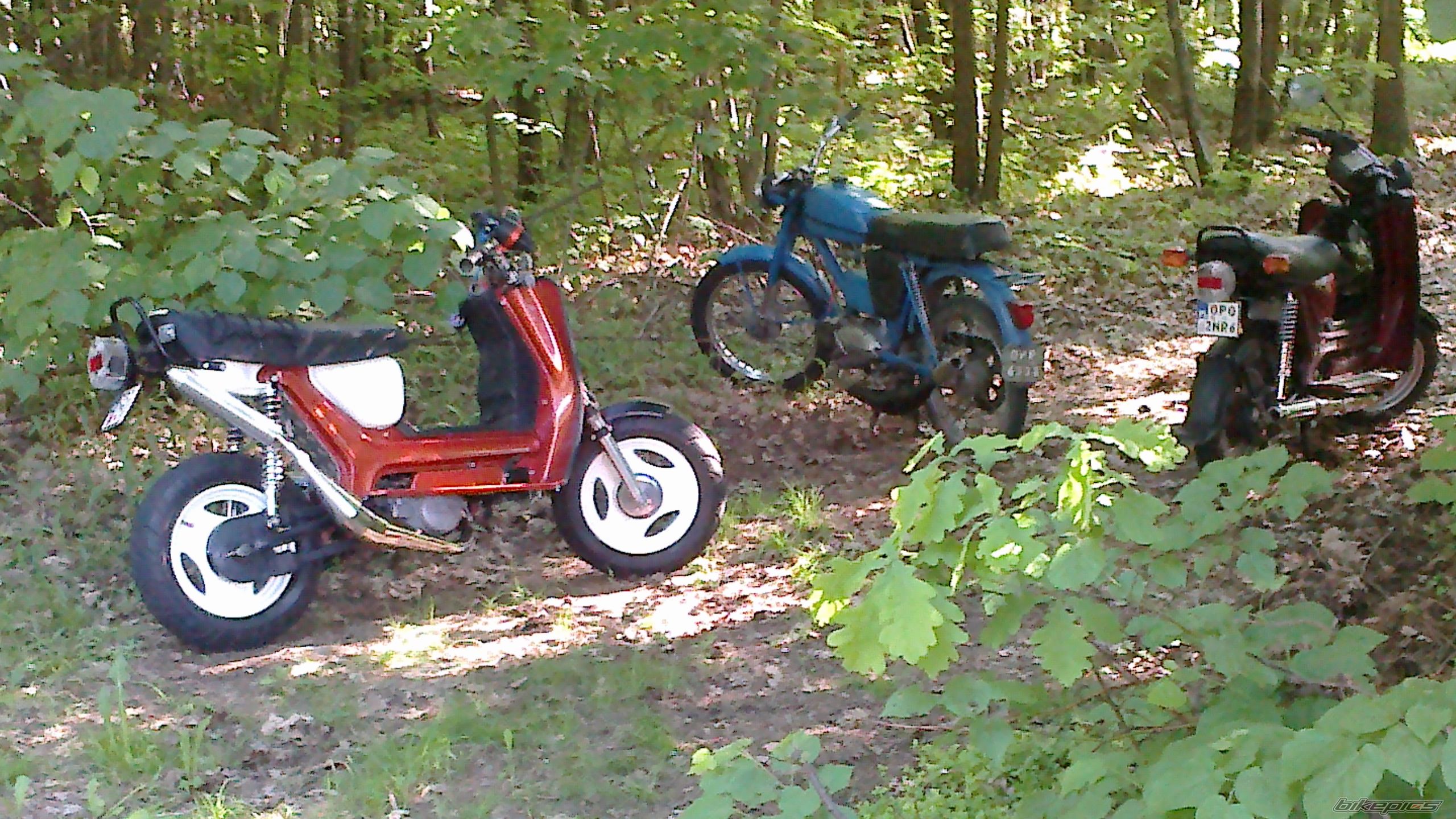 Photo 2562206