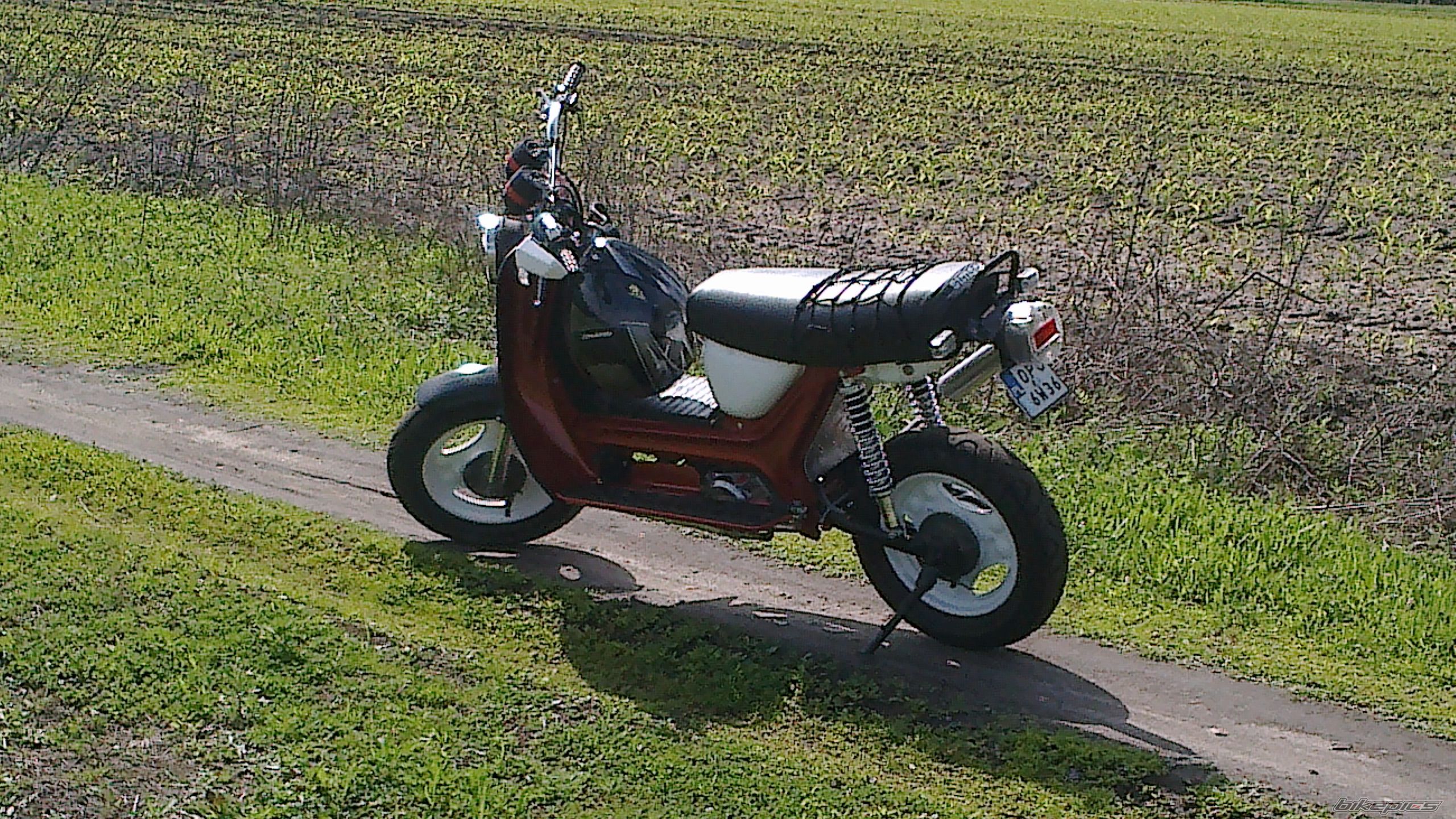 Photo 2562212