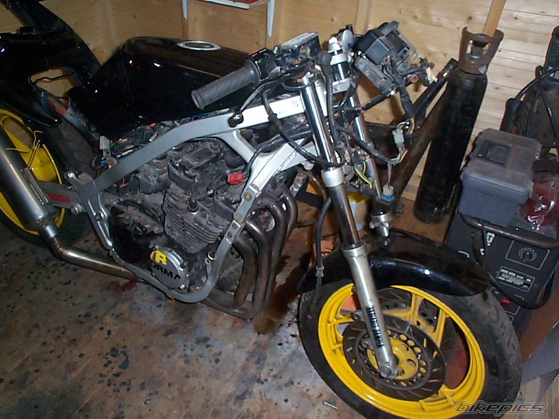 Photo 256239
