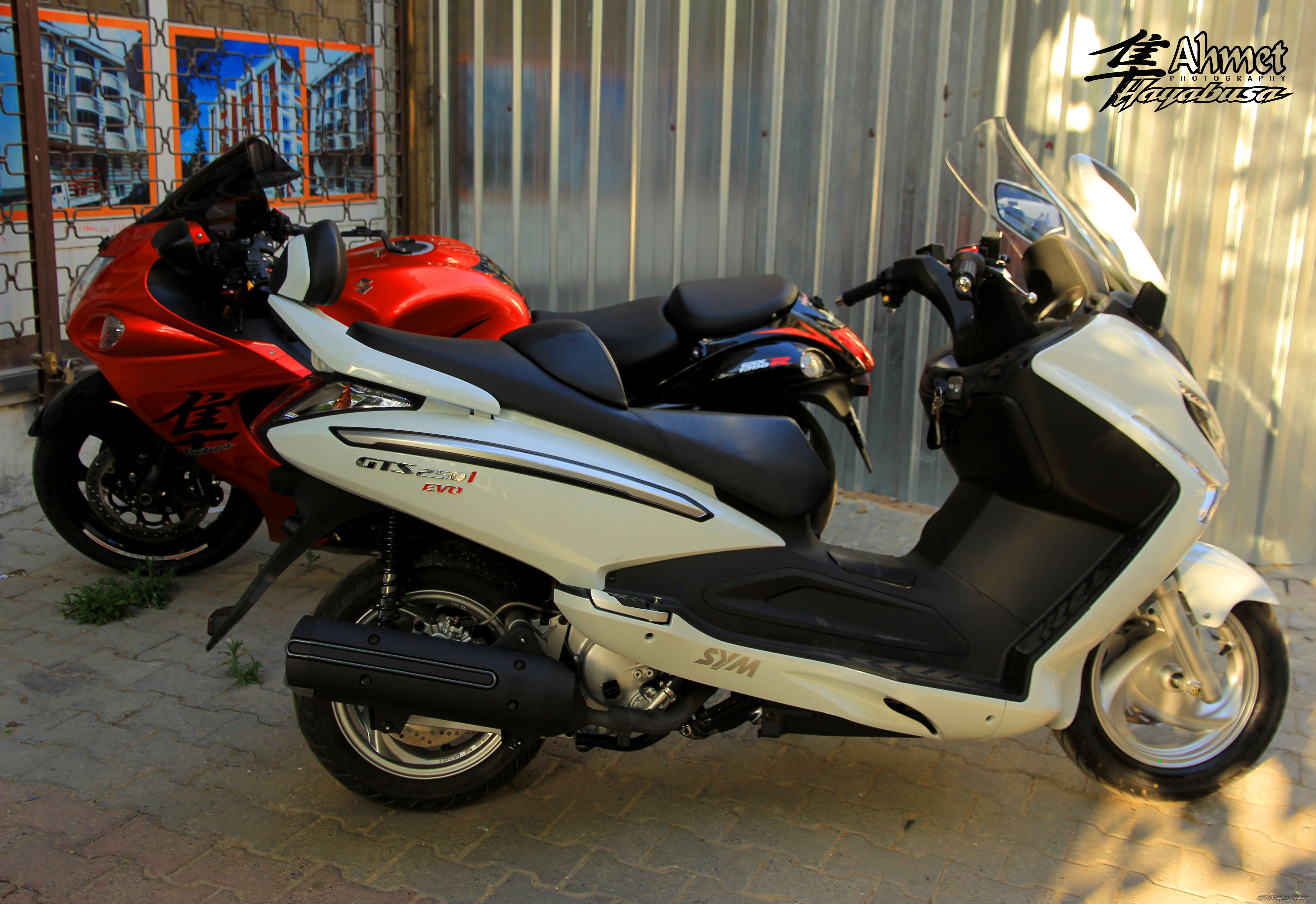 Photo 2563090