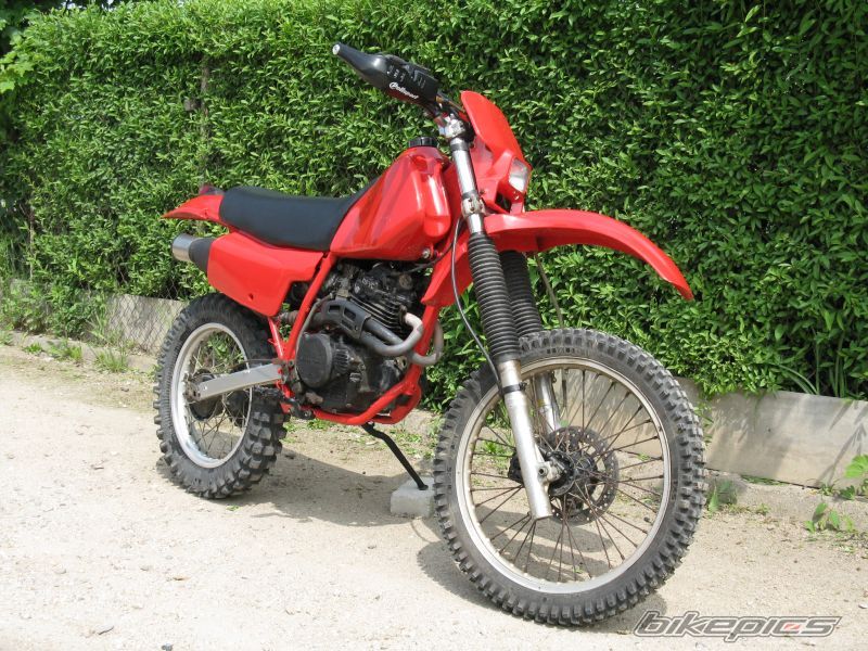 Photo 2563421