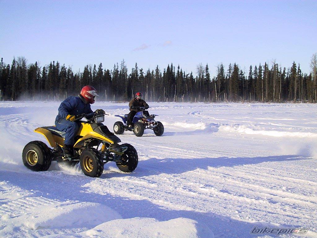 Bike Photo 256430