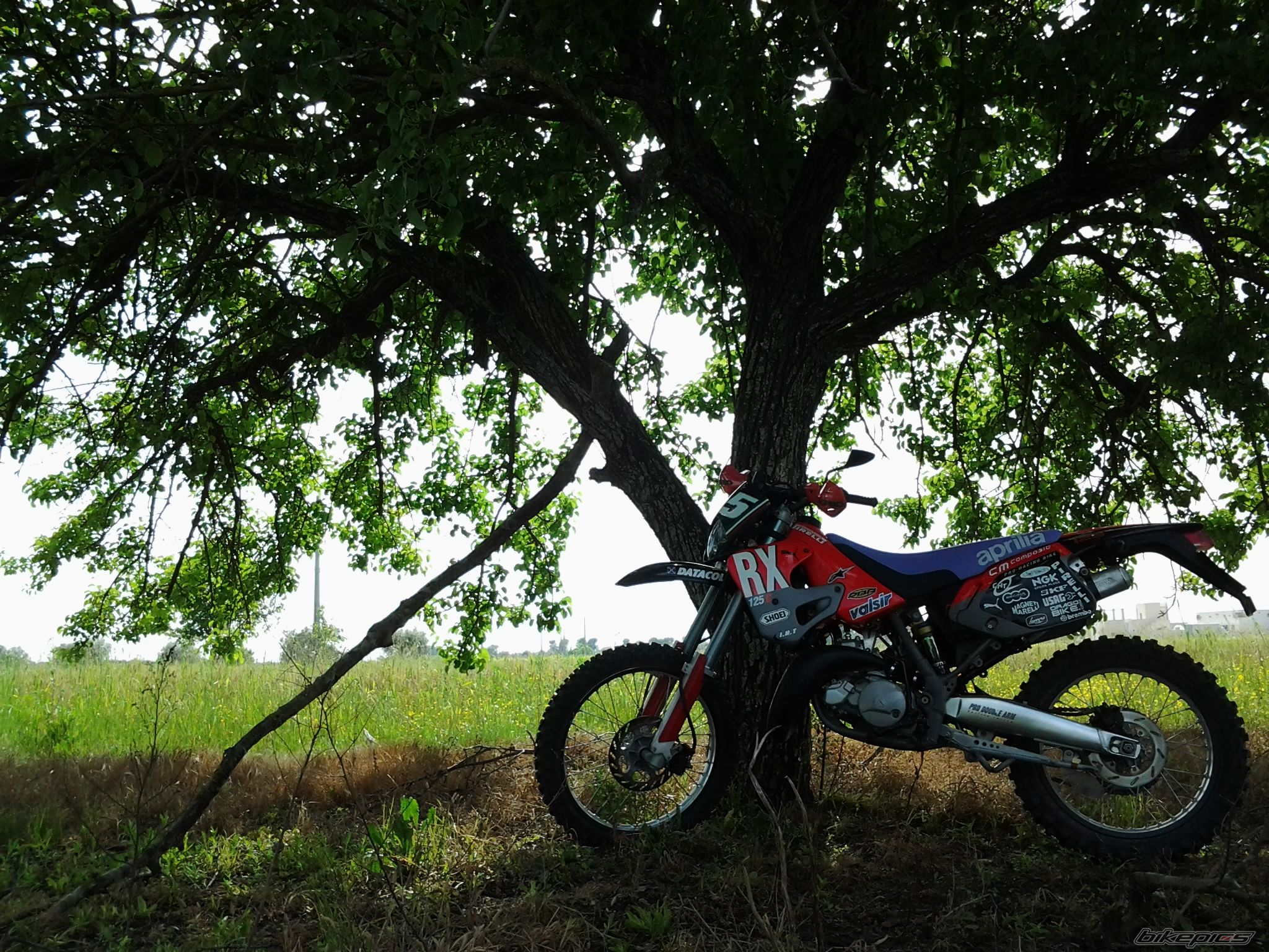 Photo 2564603