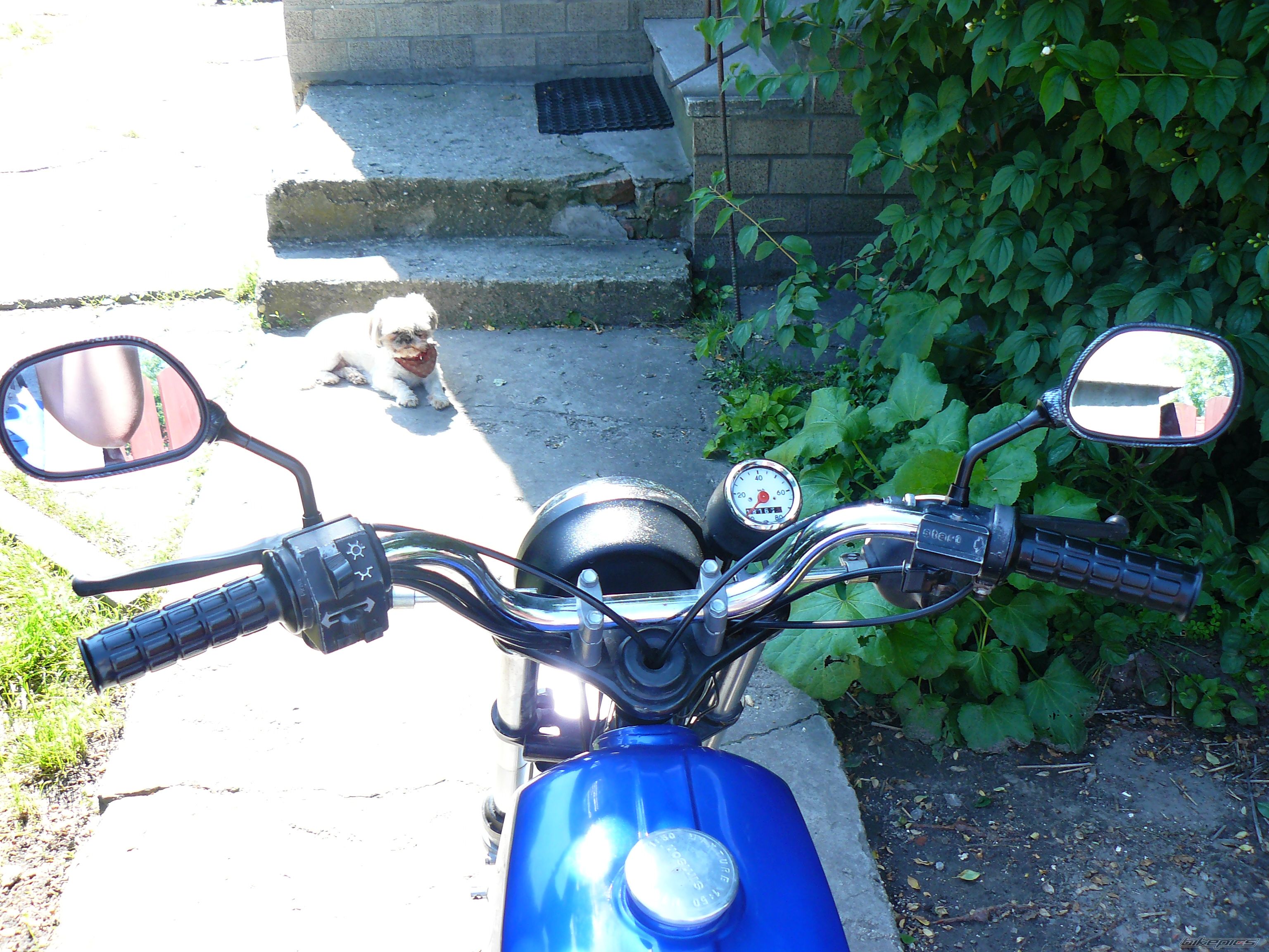 Bike Photo 2566056