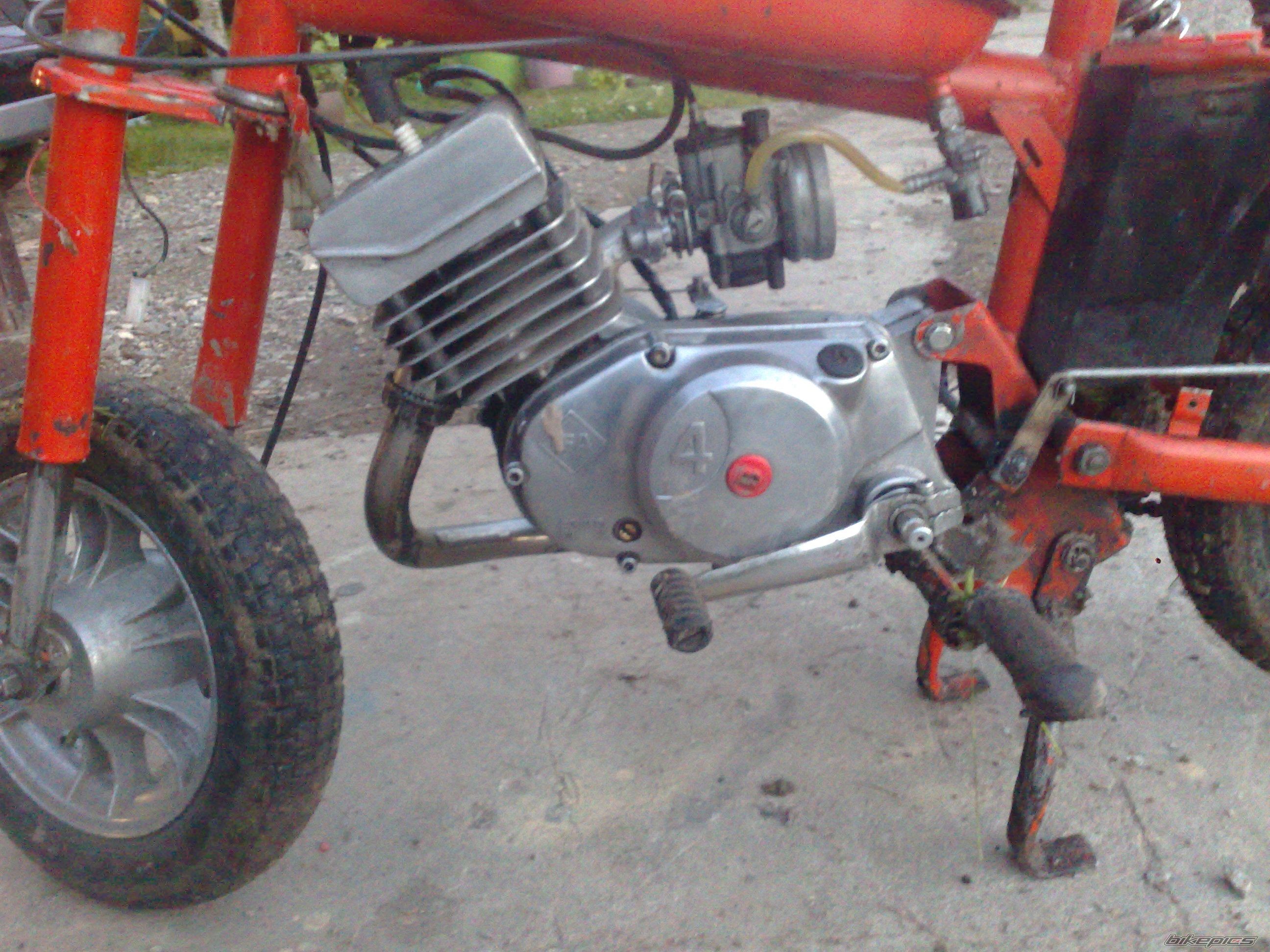 Photo 2567147