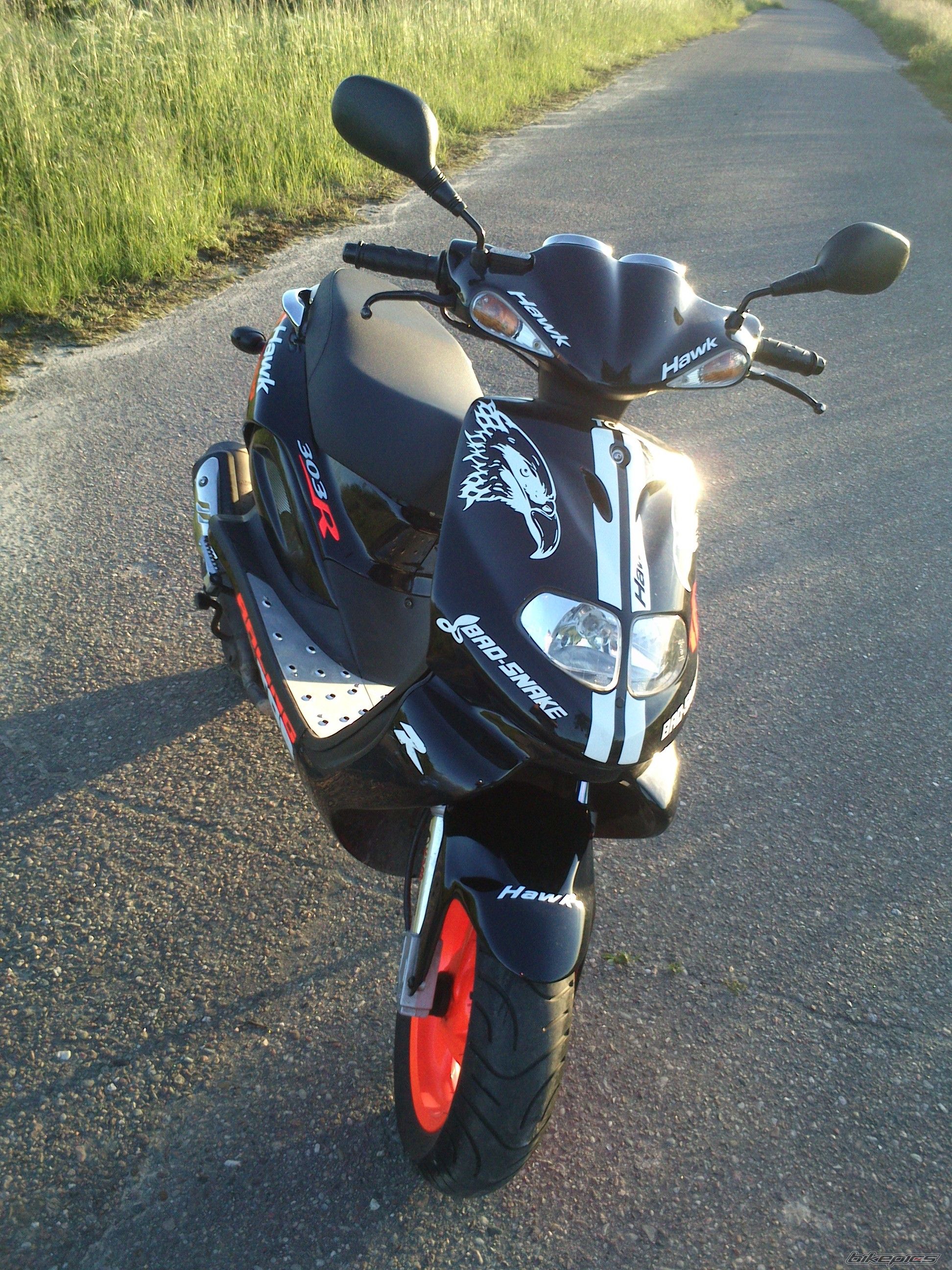 Photo 2567977