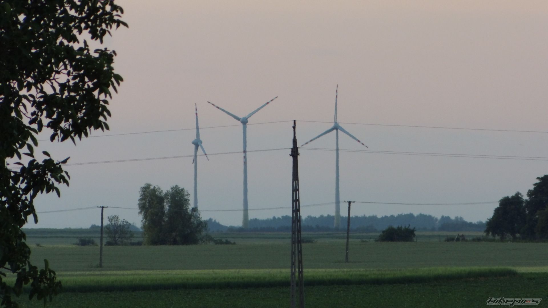 Photo 2569129
