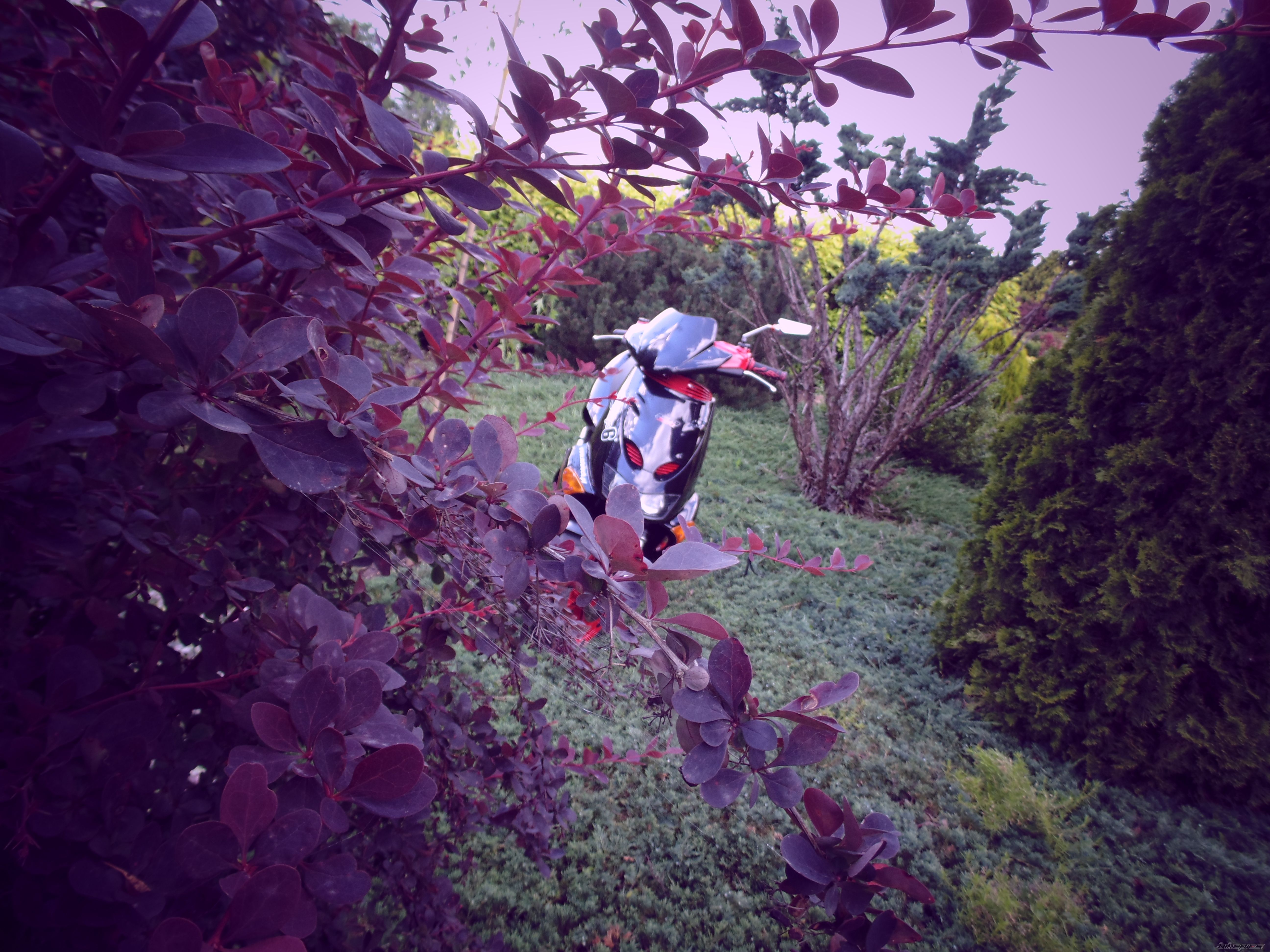 Photo 2569350