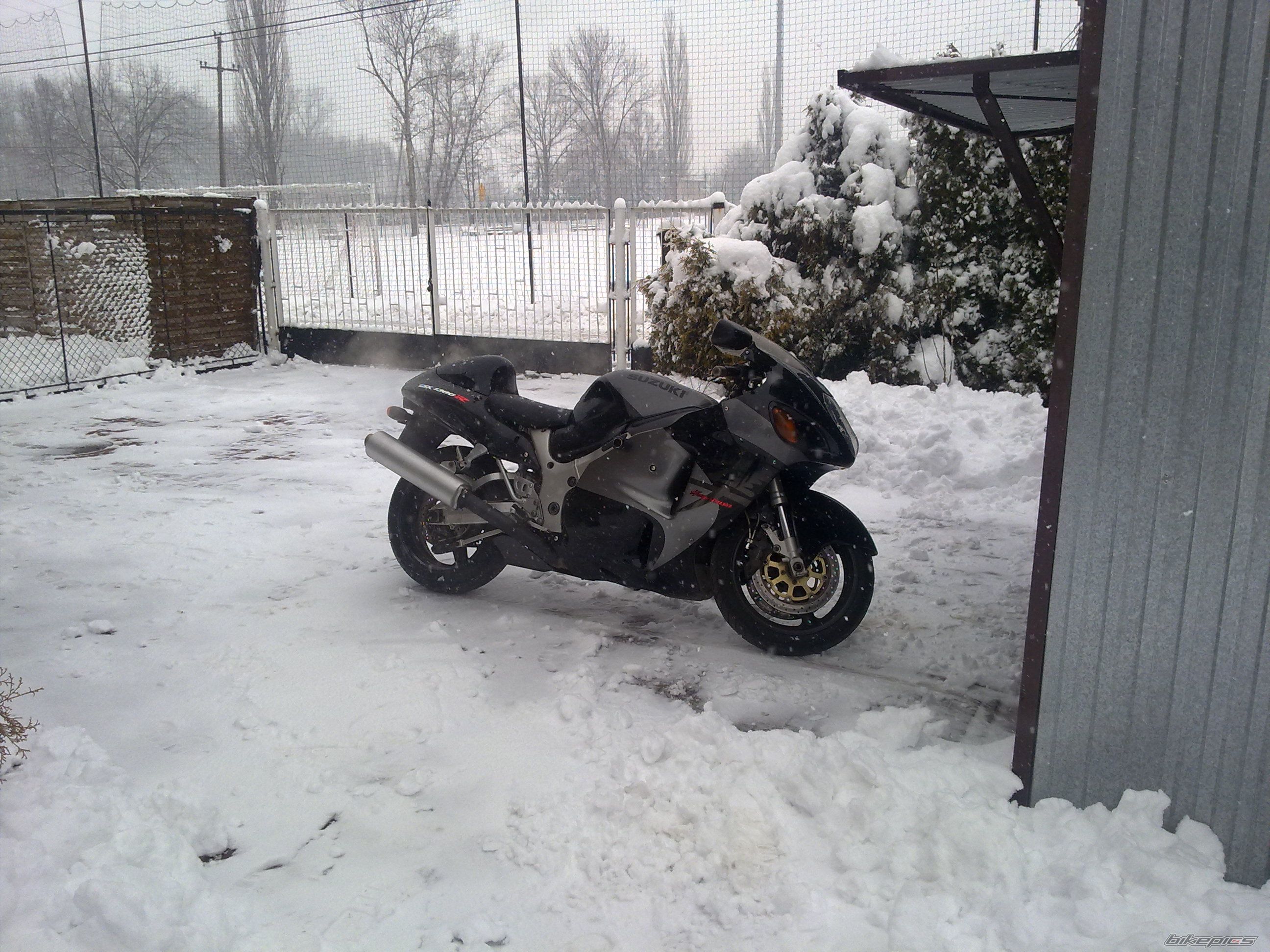 Photo 2569431