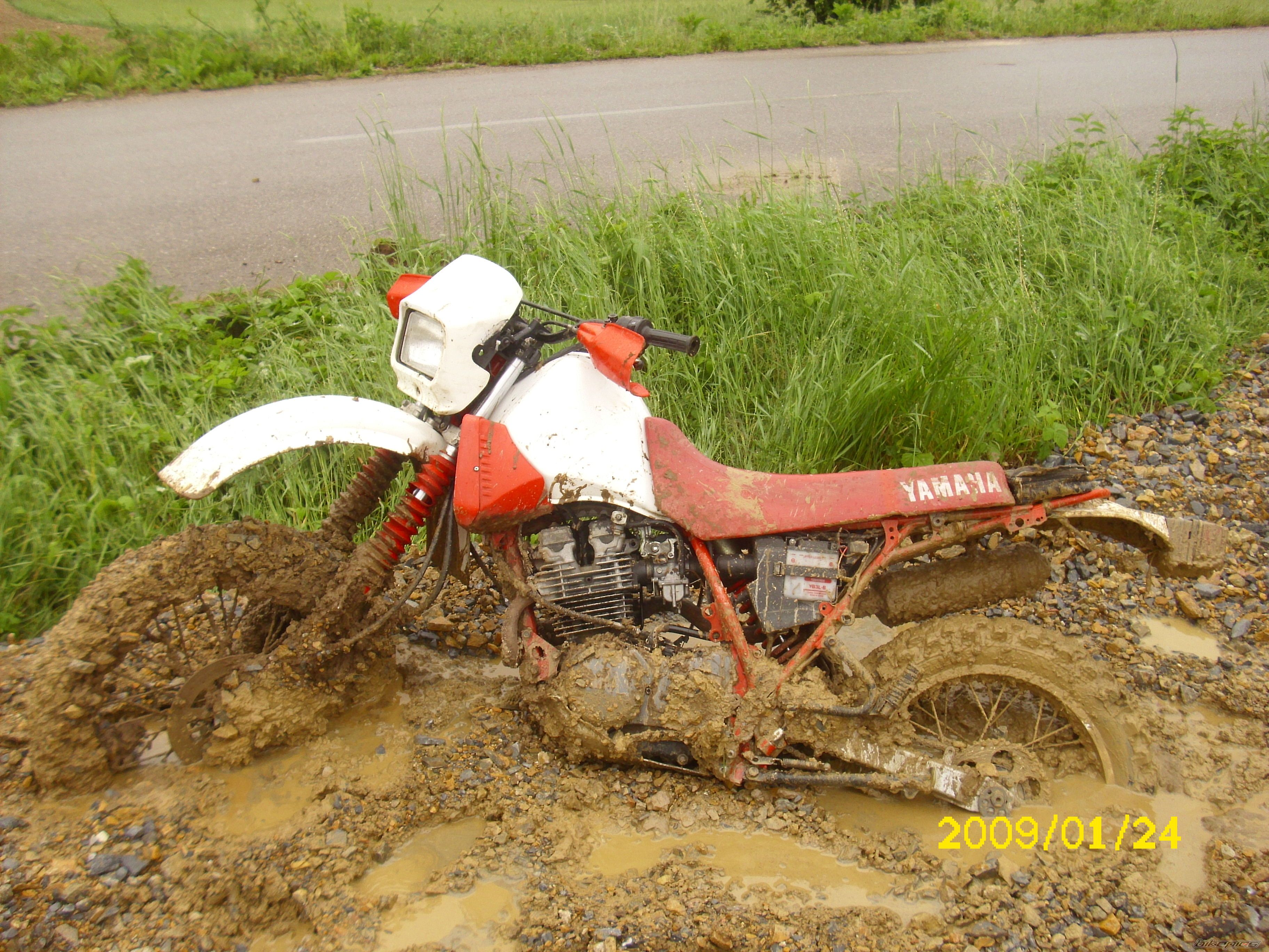 Photo 2570083