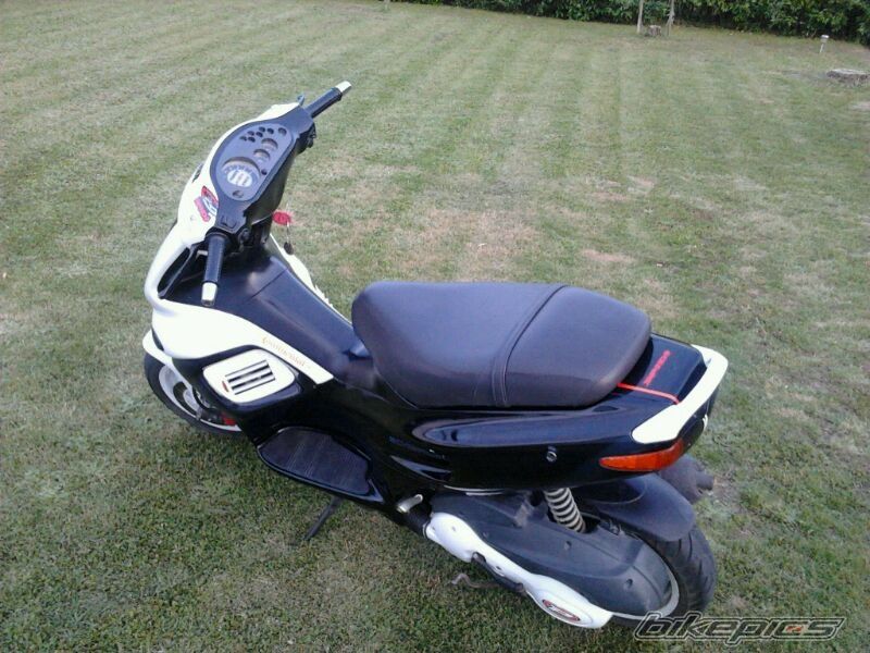 Photo 2571040