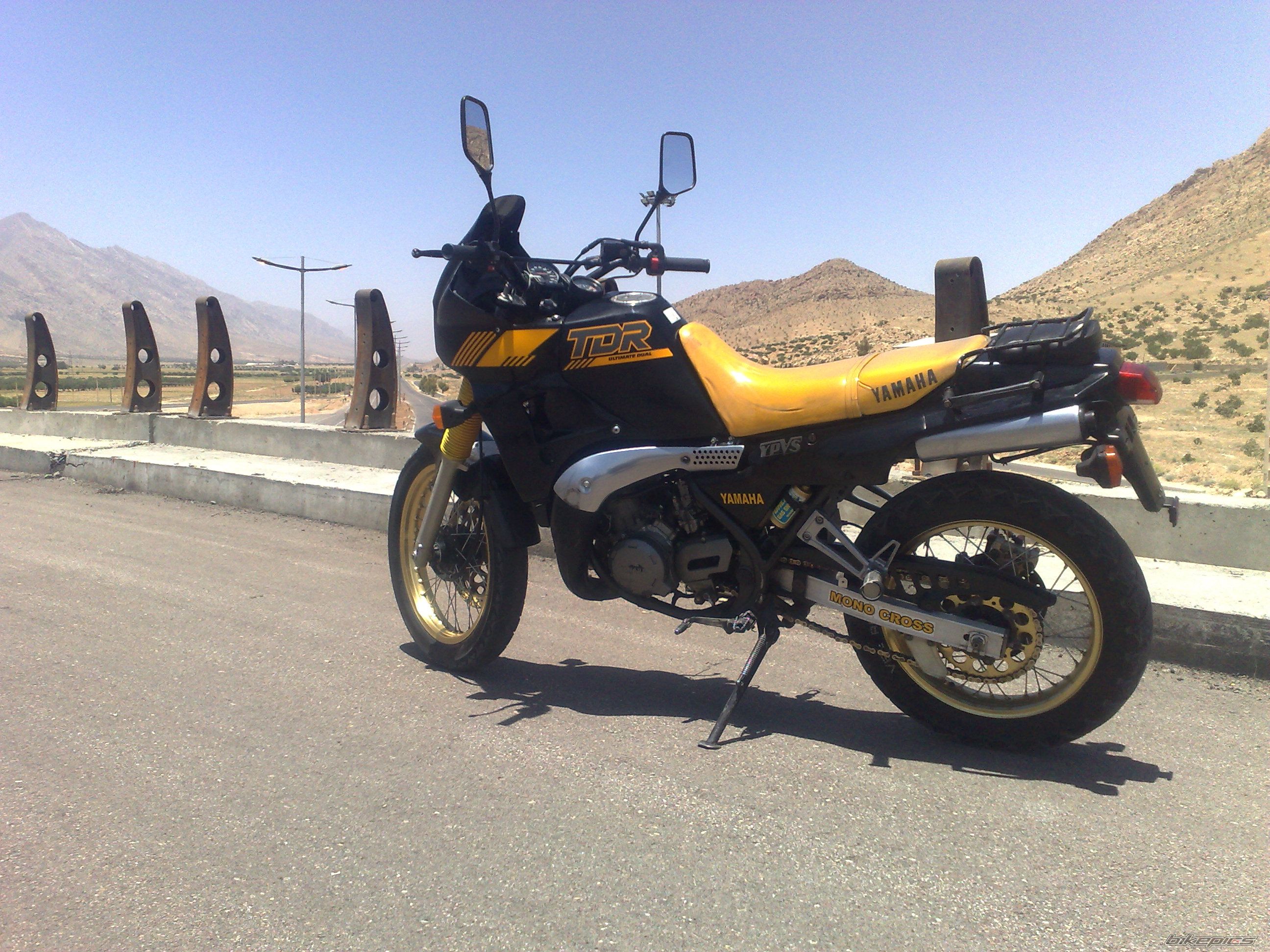 Photo 2571418