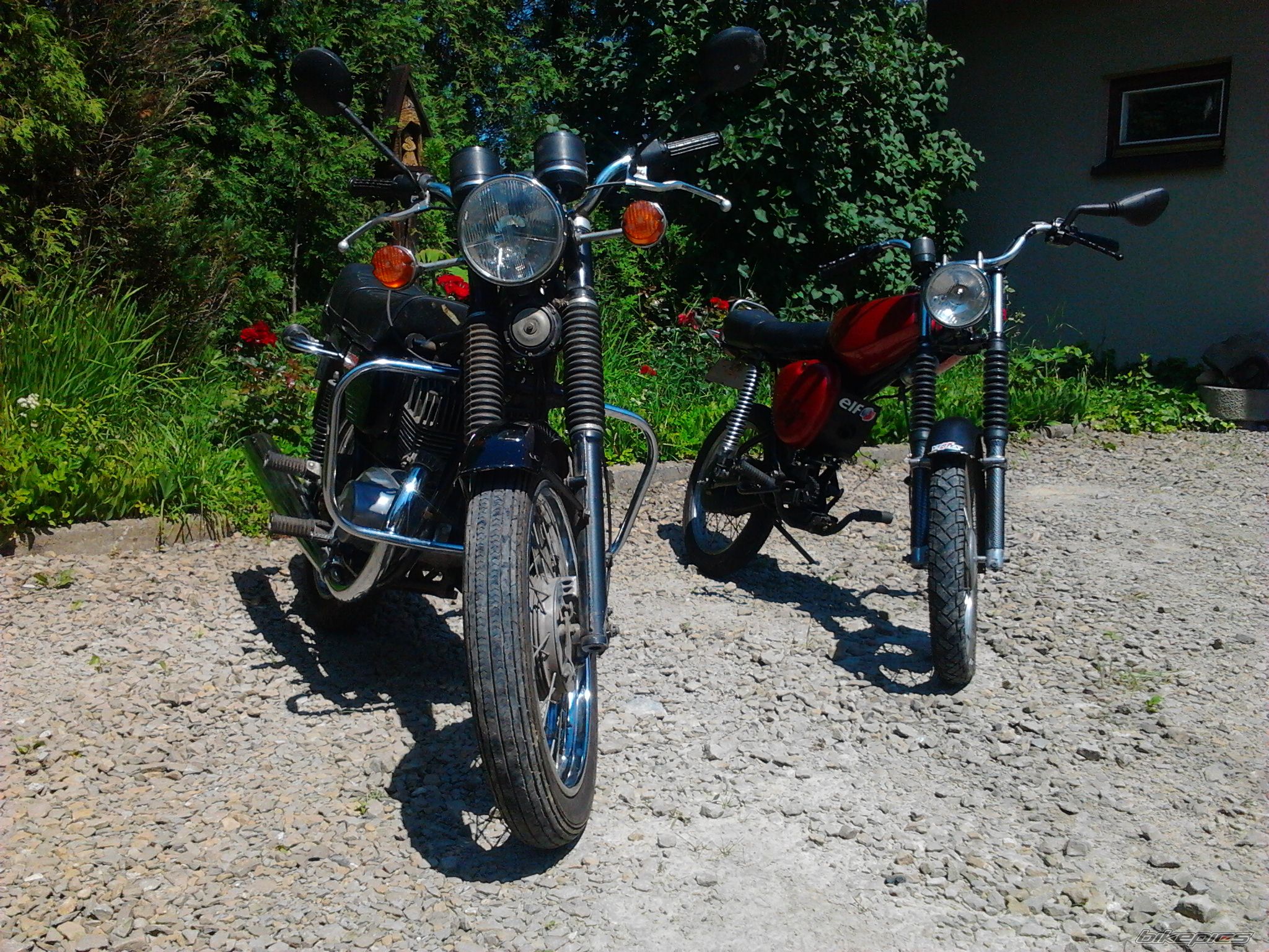 Photo 2572798