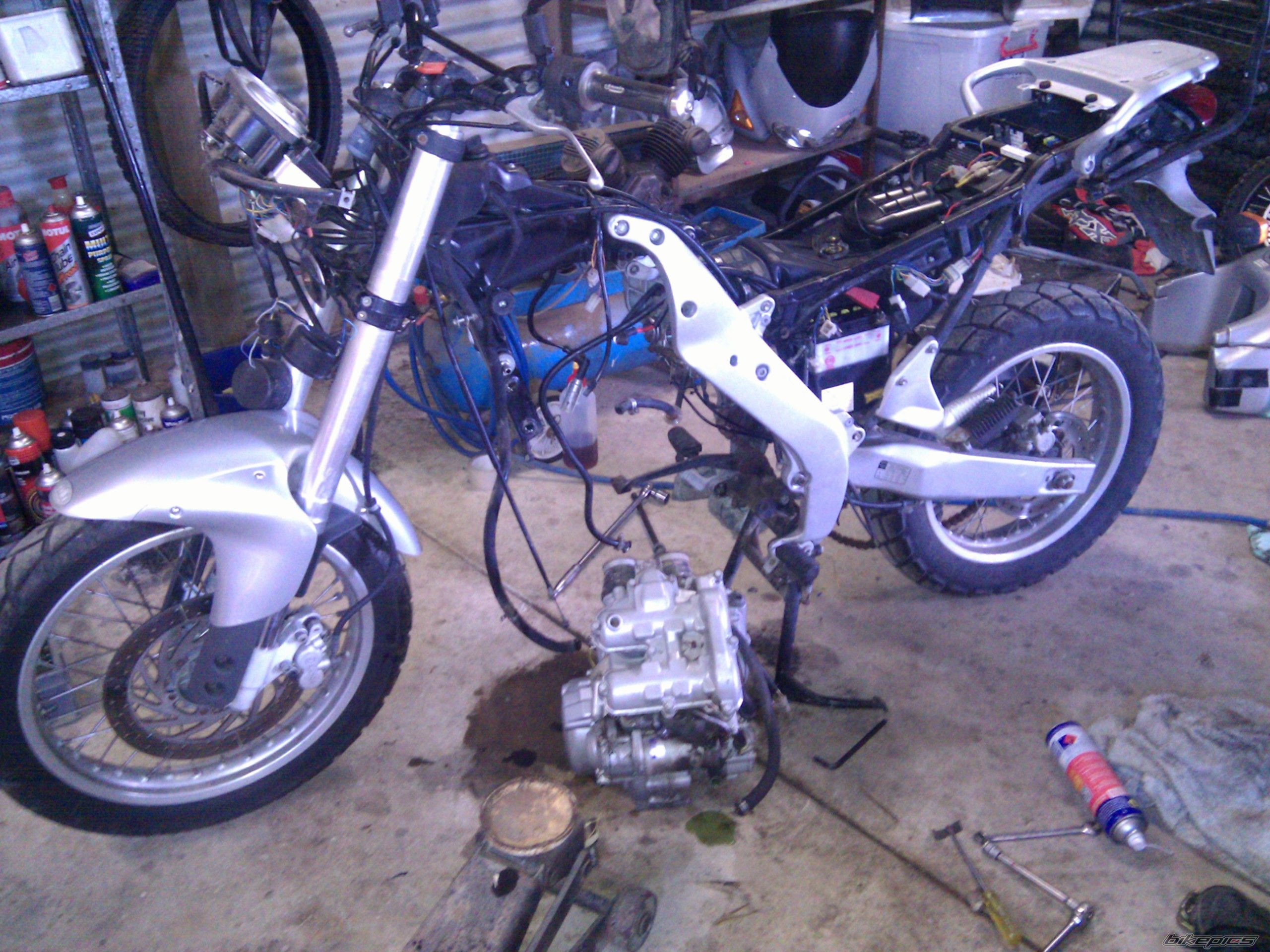 Photo 2574335