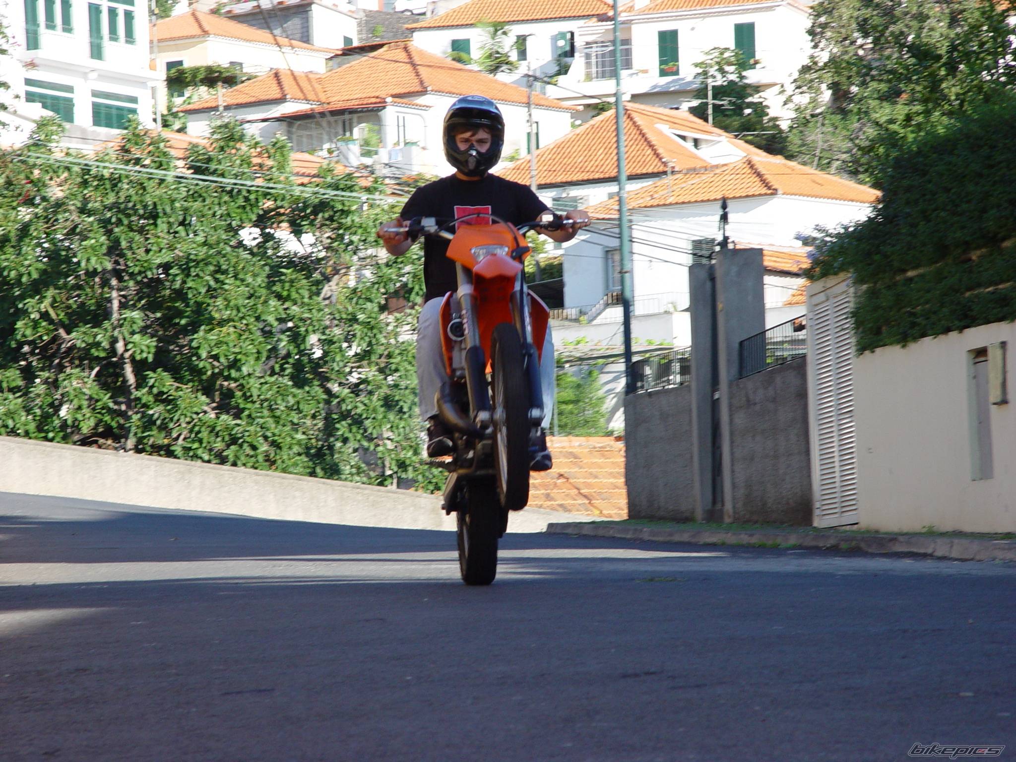 Photo 257665