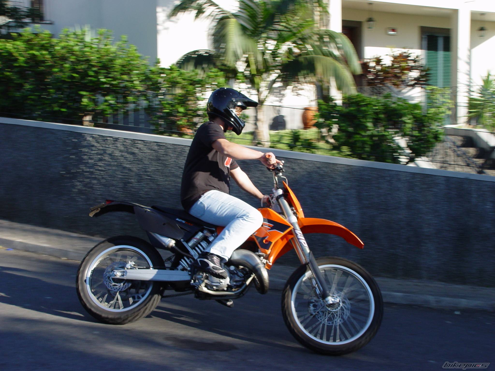 Photo 257668