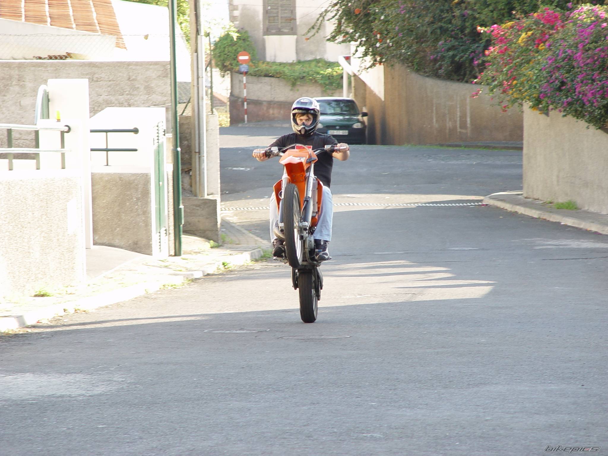 Photo 257671