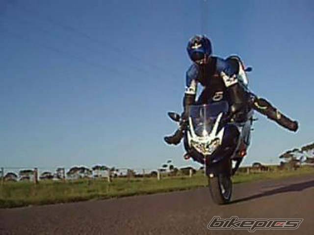 Photo 257778