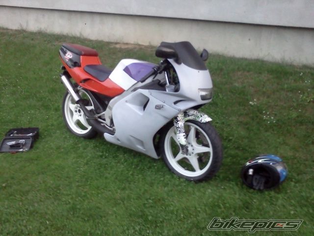 Photo 2578453