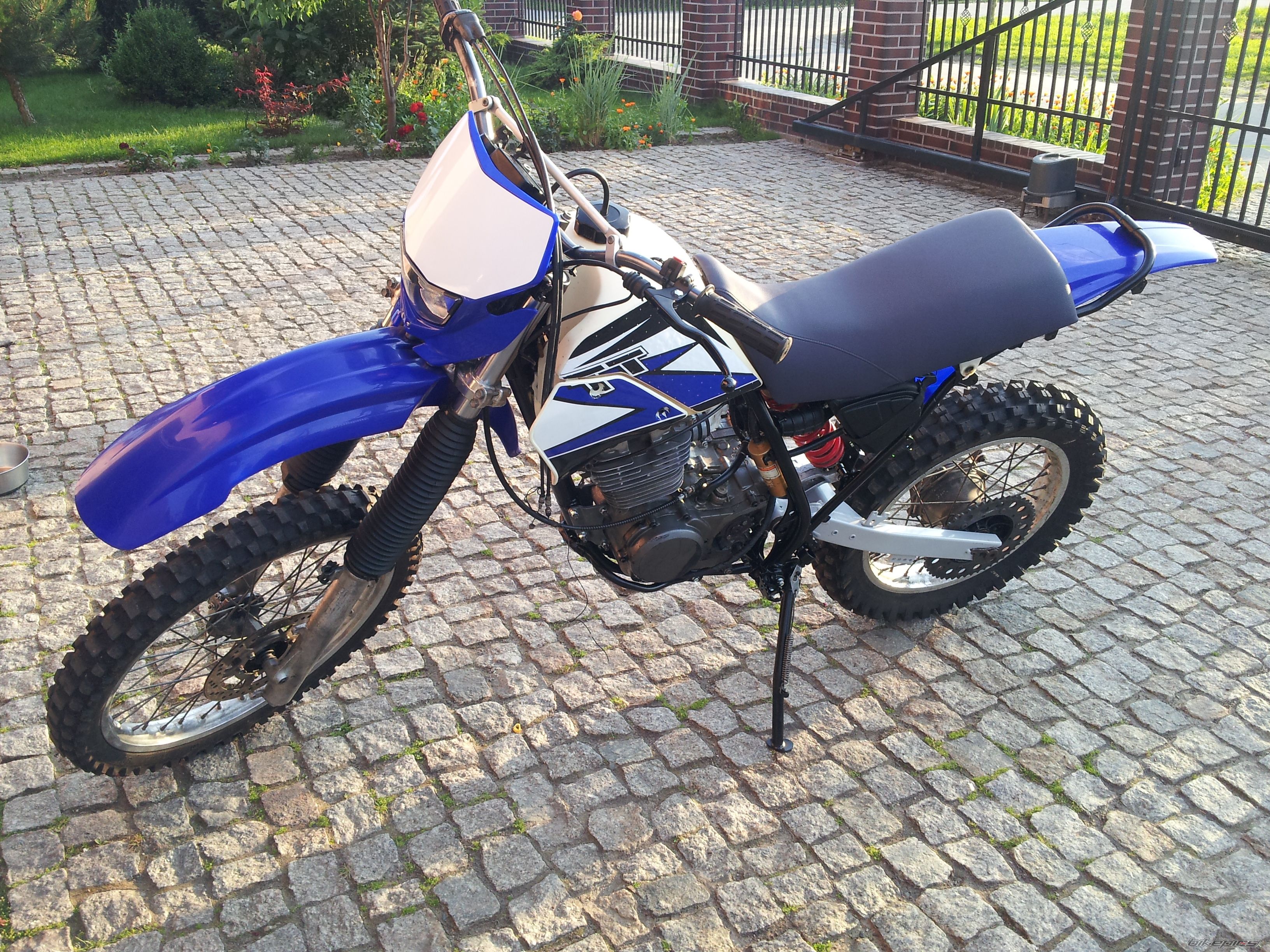 Photo 2581715