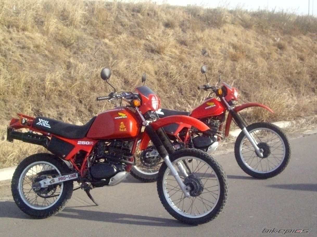 Photo 2582248