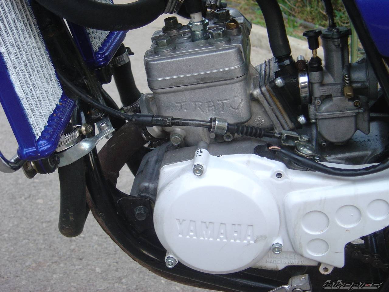 Photo 258272