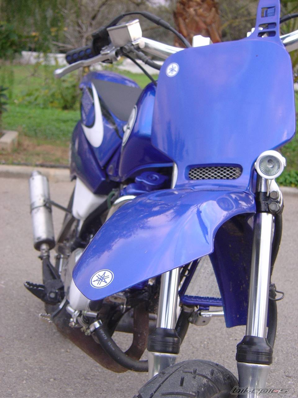 Photo 258277