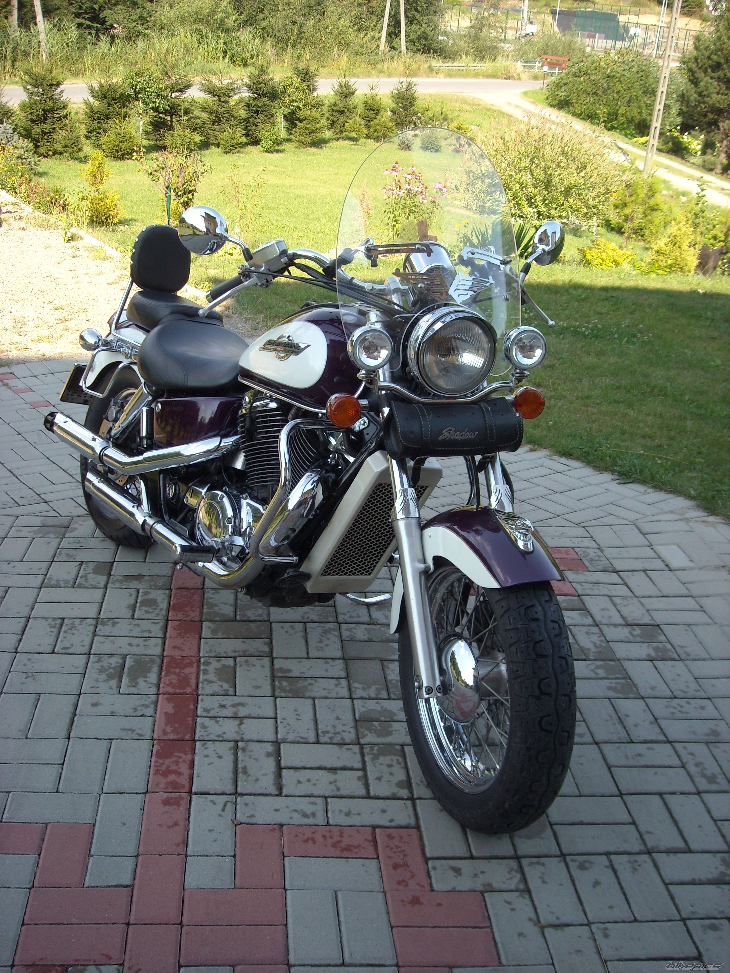 Photo 2583280