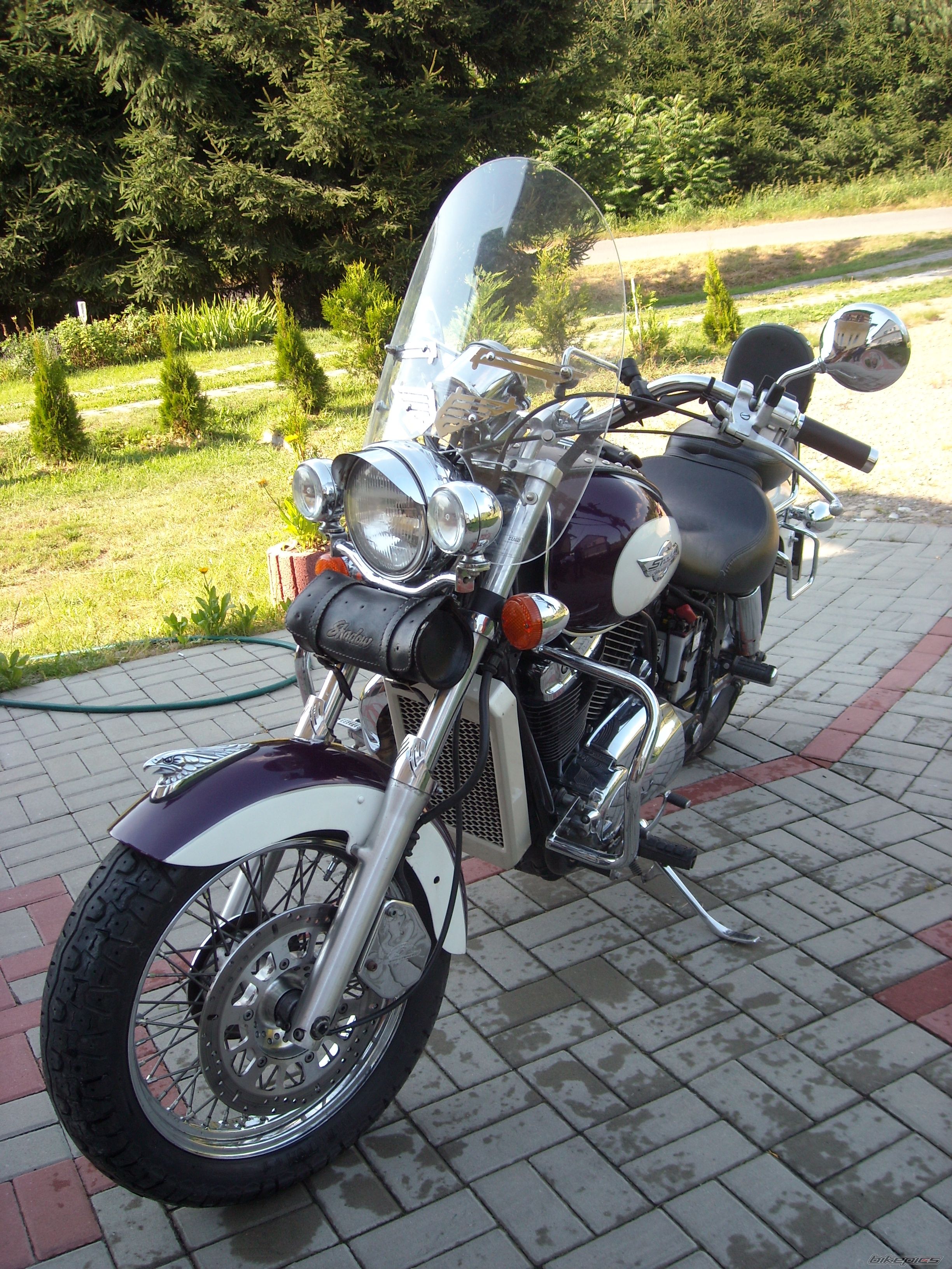 Photo 2583282
