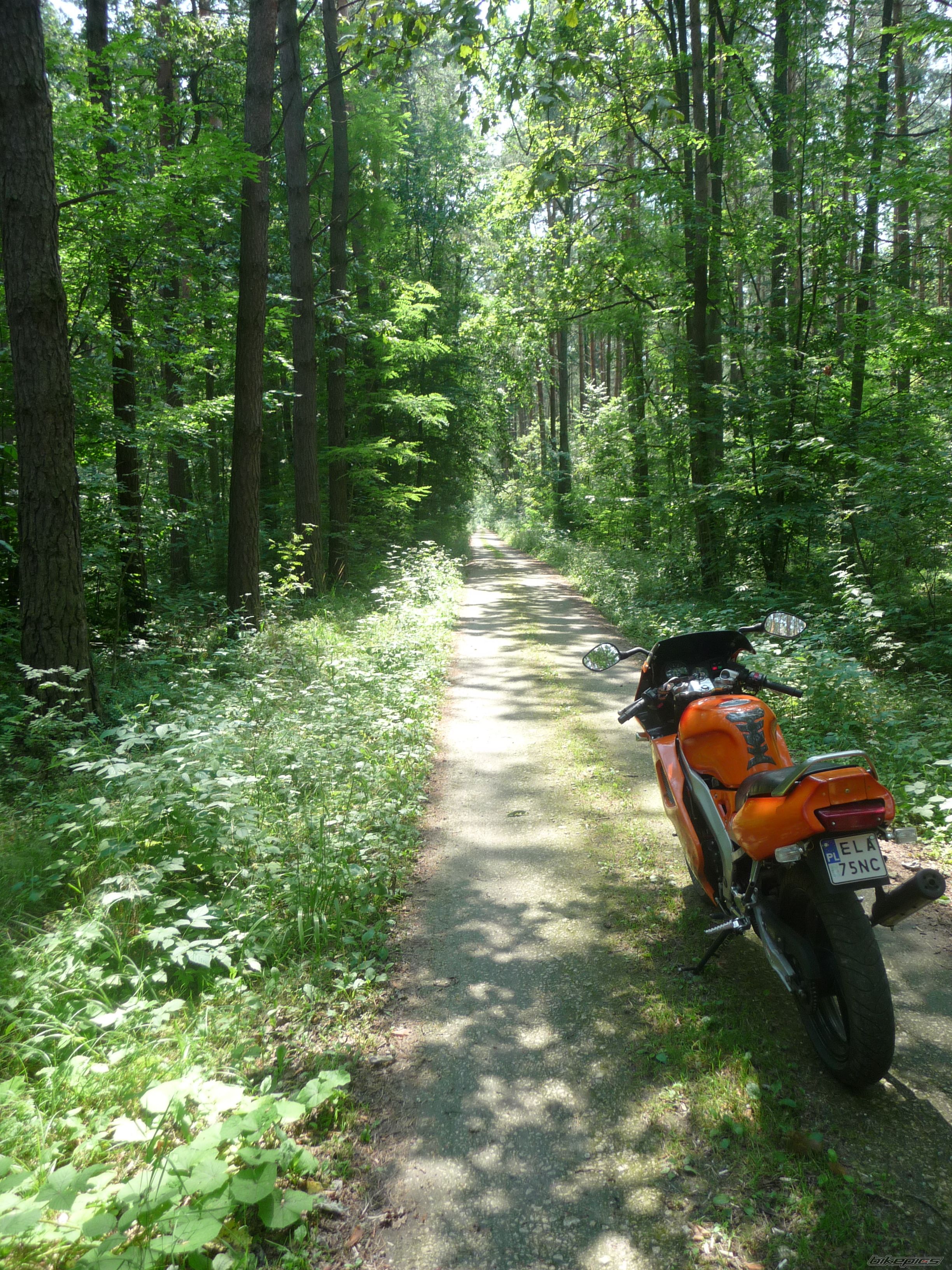 Photo 2584269